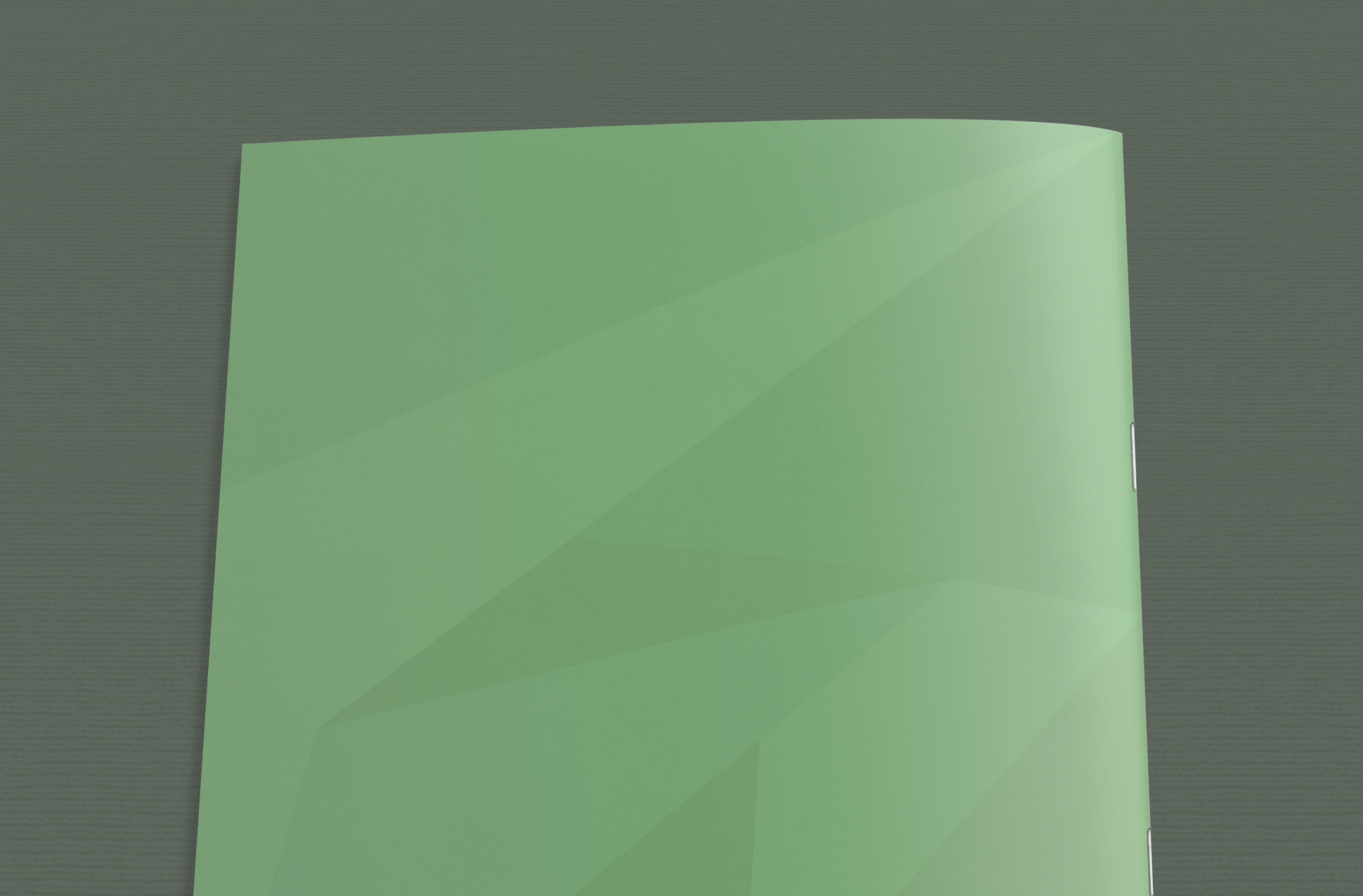 A4 brochure mockup