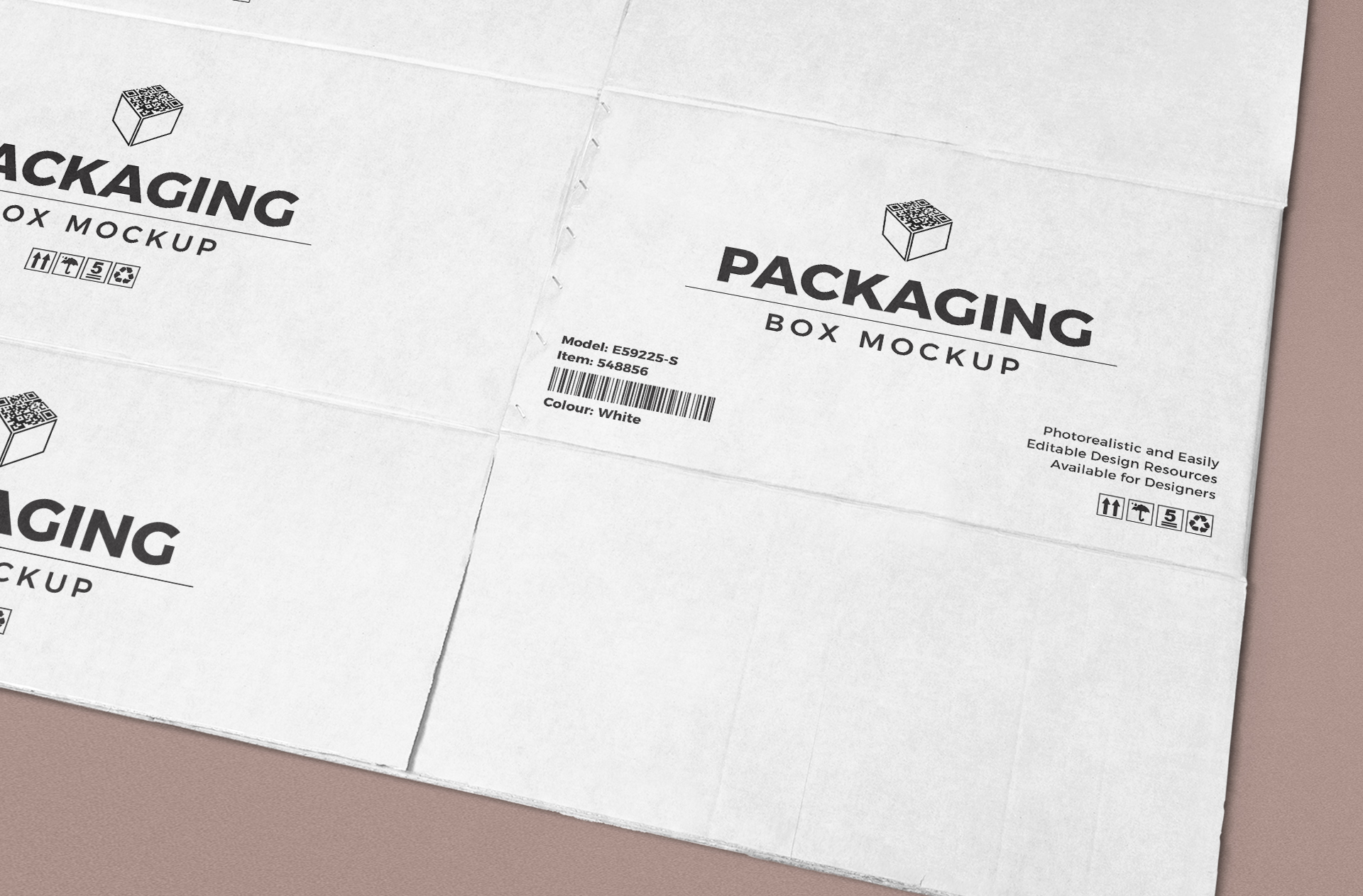 box design PSD