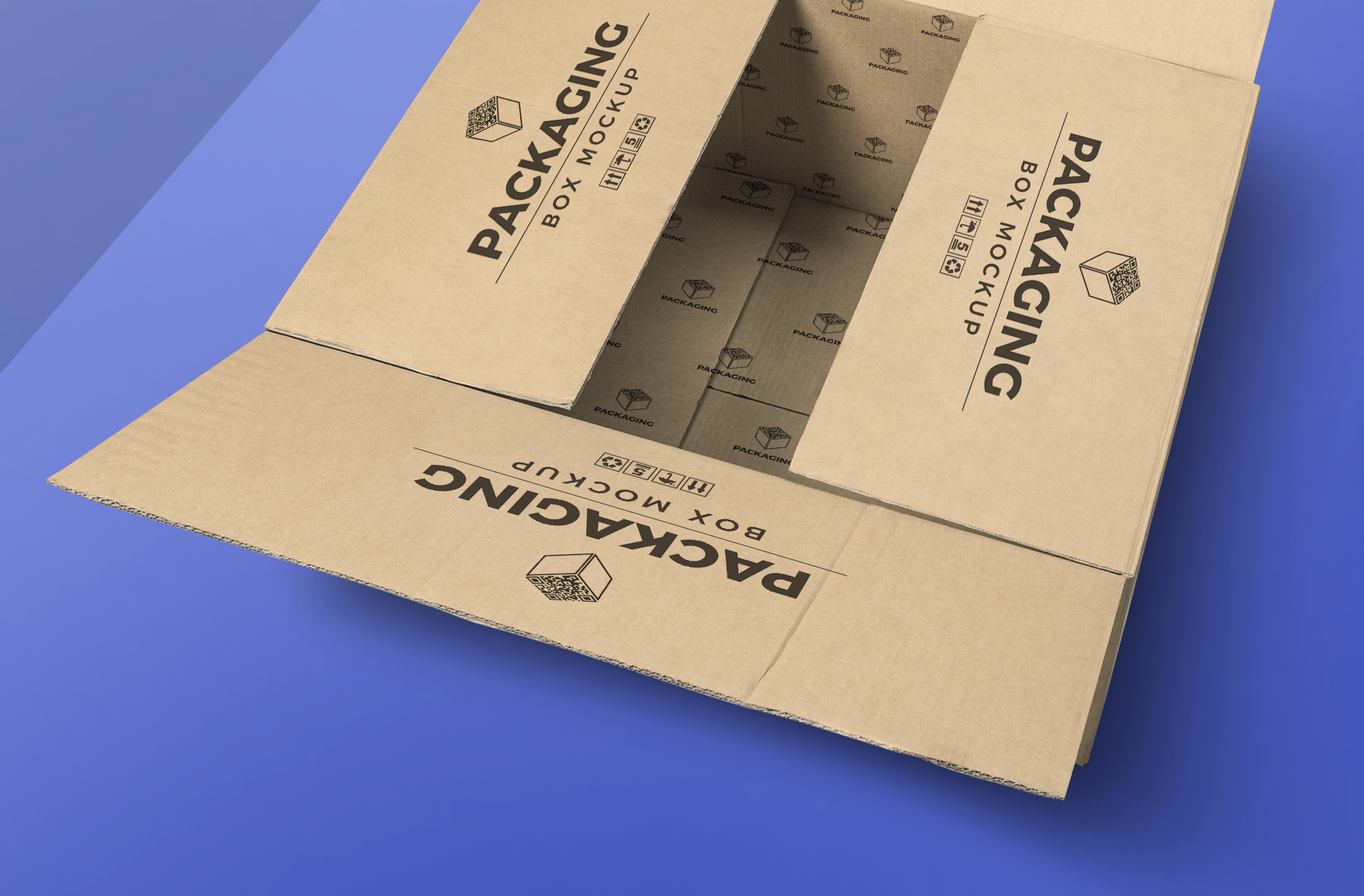 box design PSD