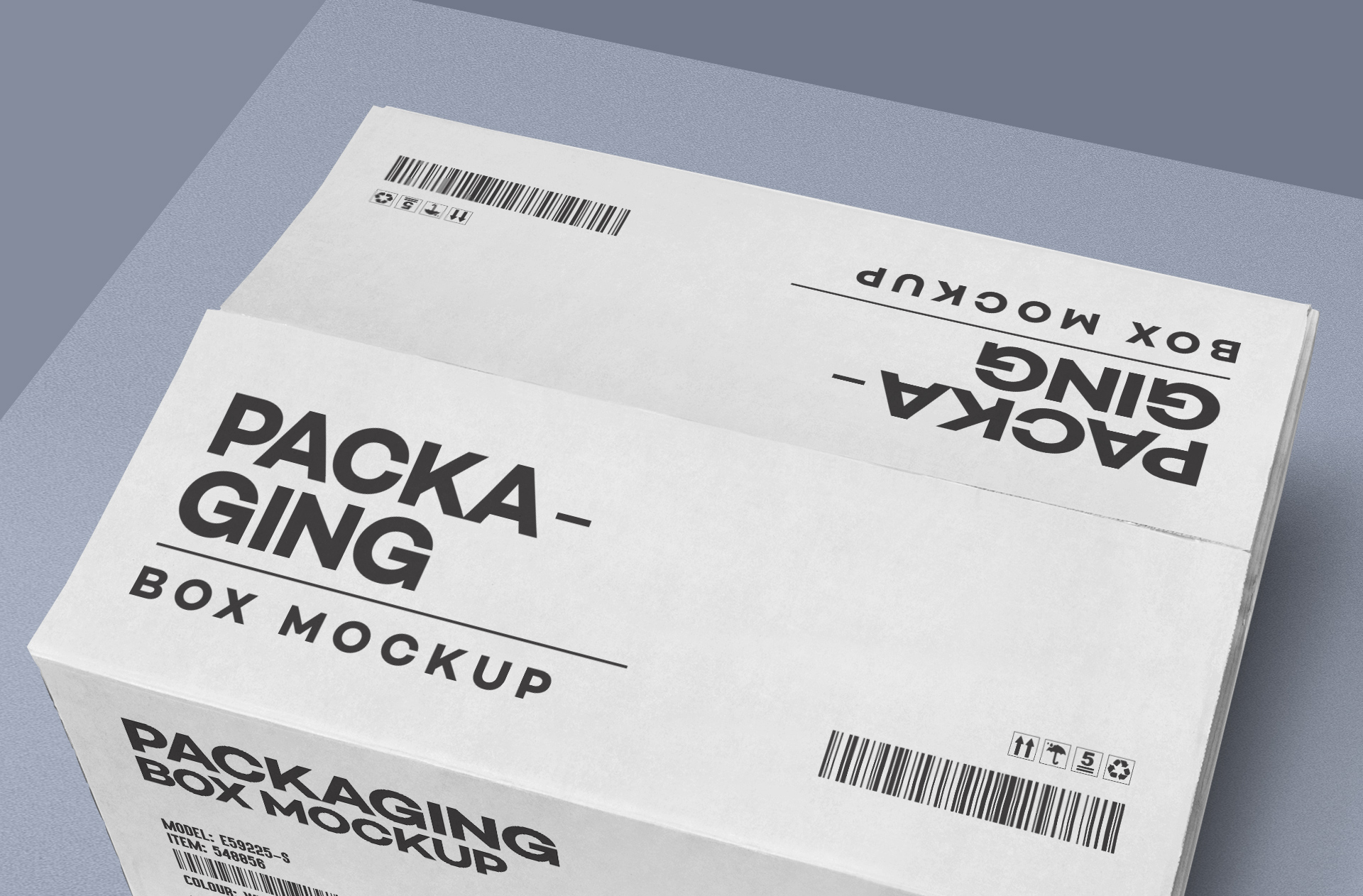 box branding mockup