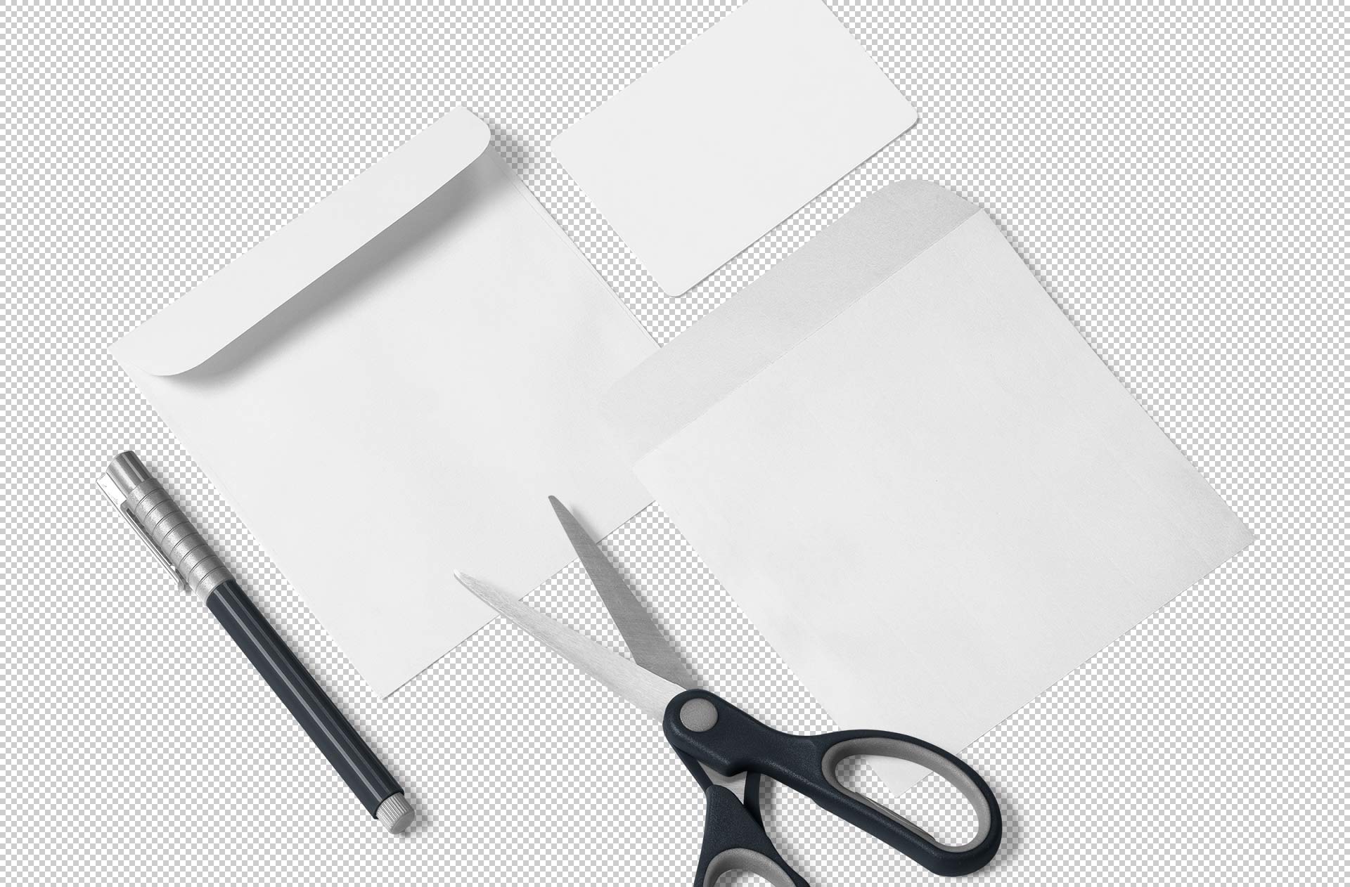 branding identity showcase