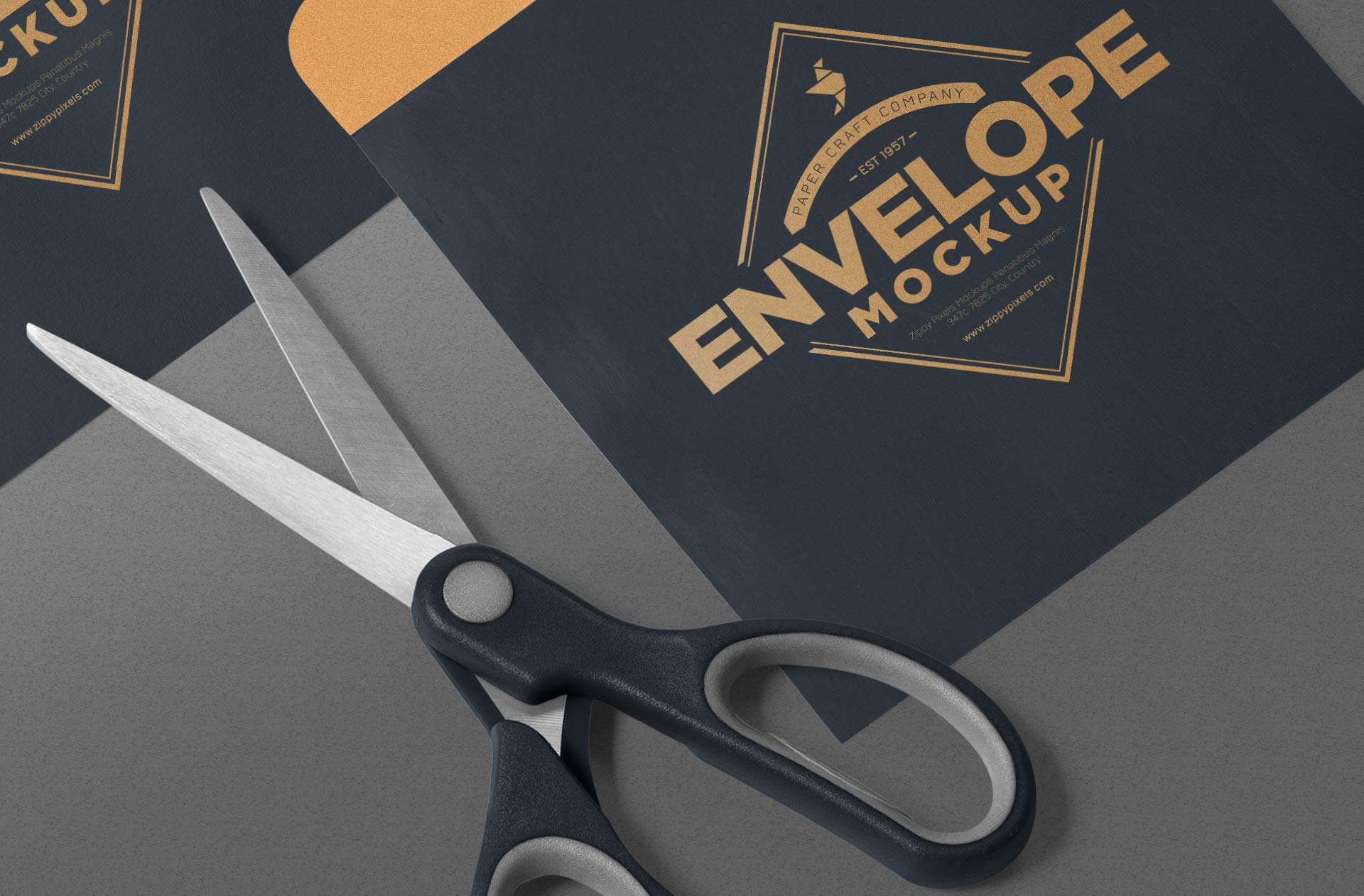branding identity showcase