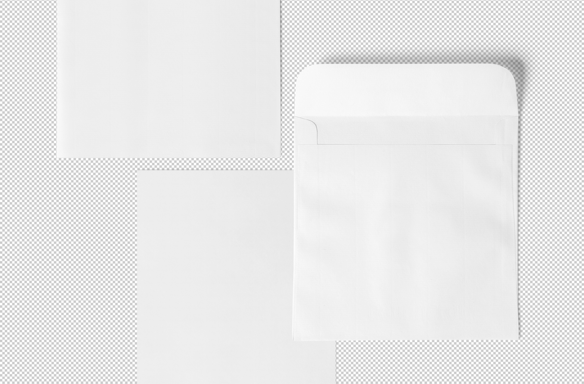 branding identity showcase