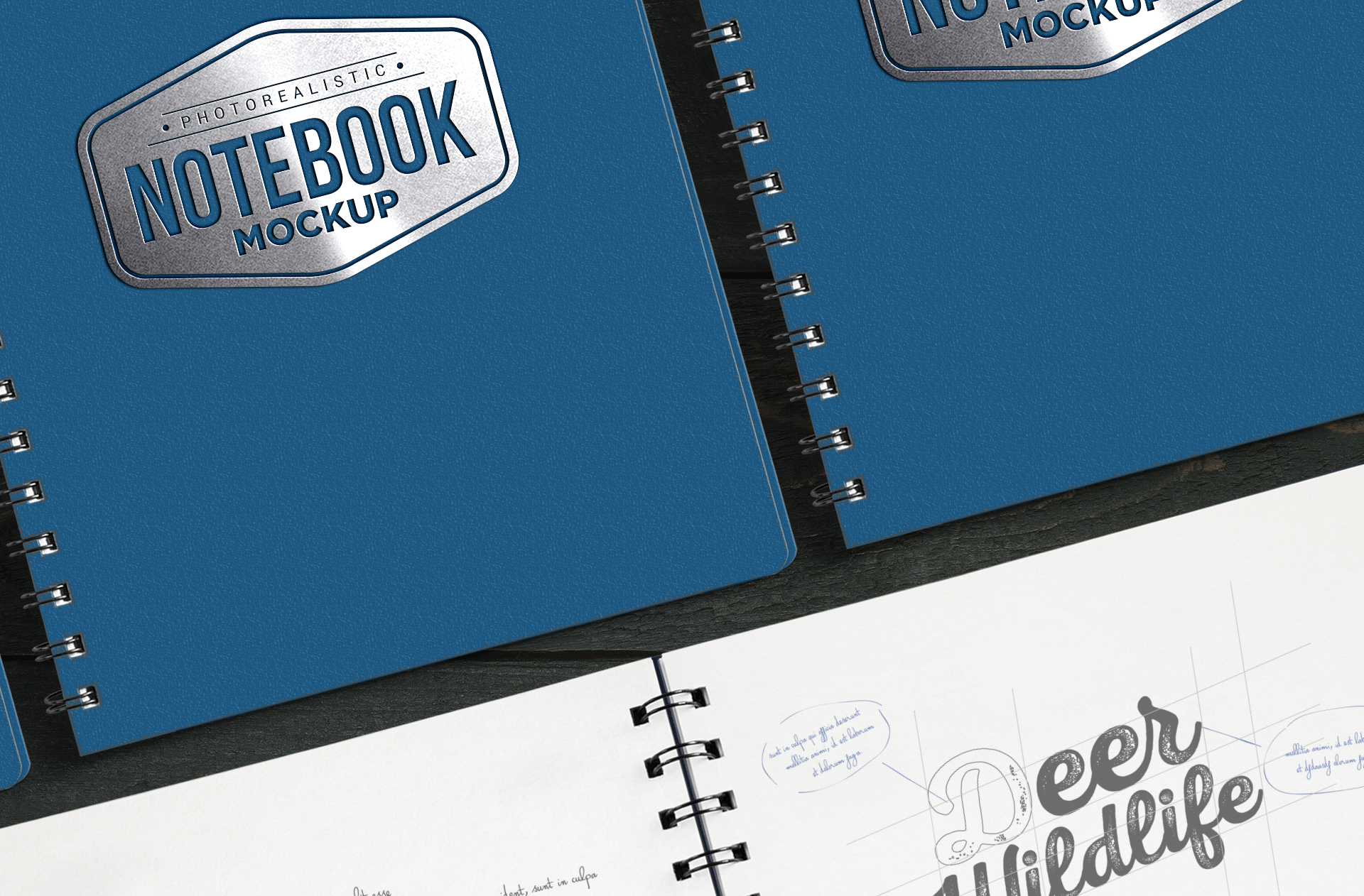 branding presentation PSD