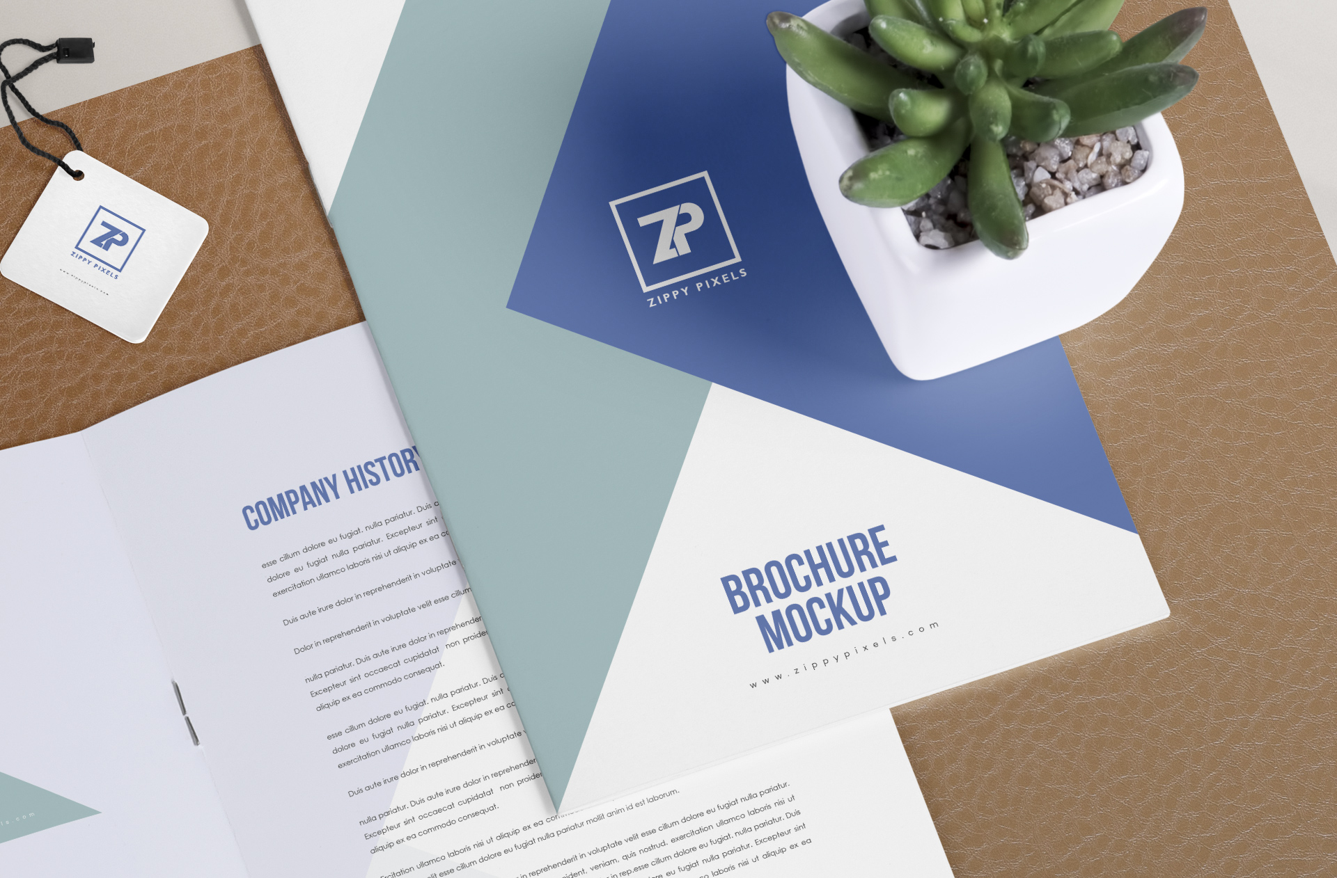 brochure cover PSD