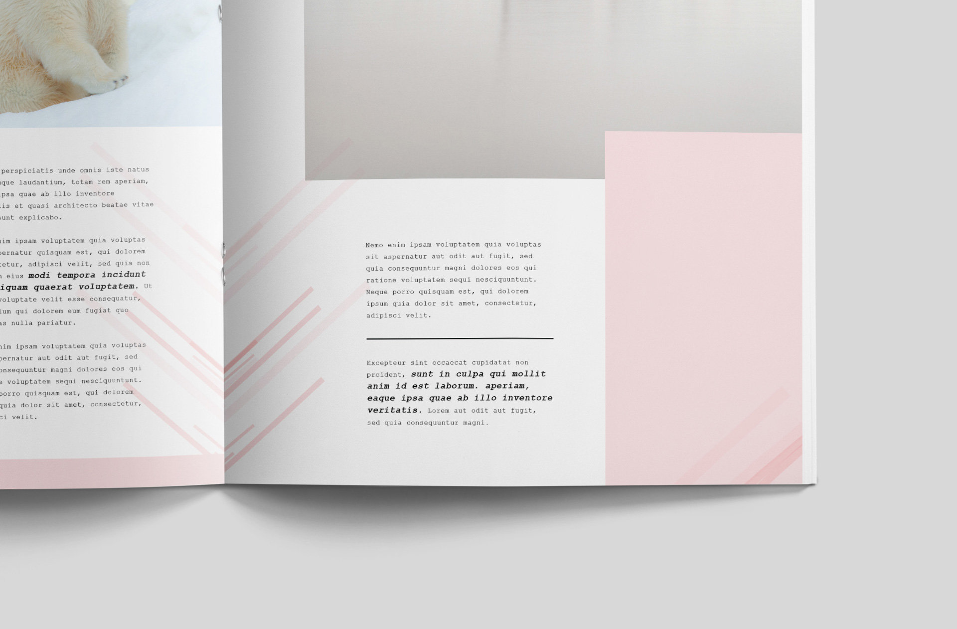 advertising book mockup