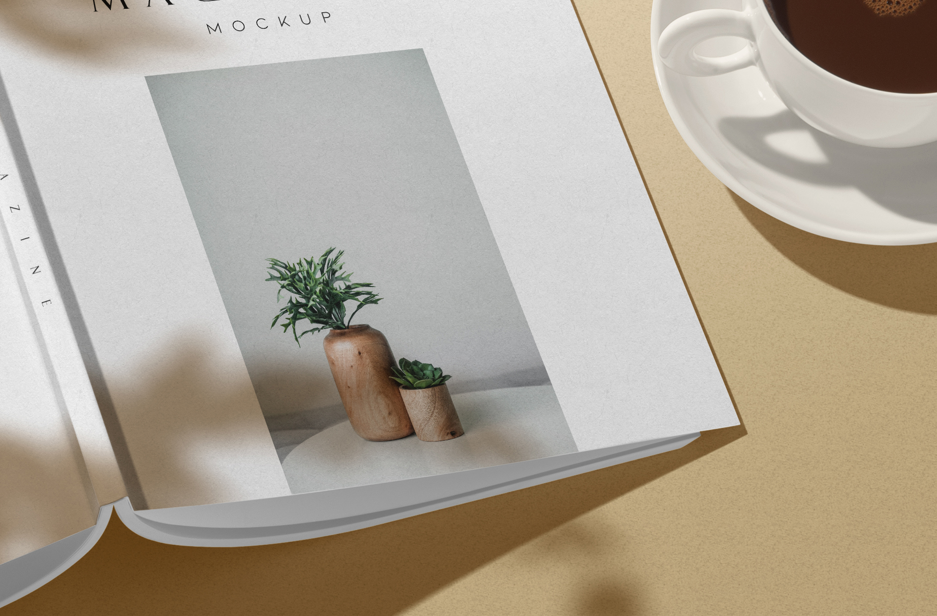 advertising magazine
