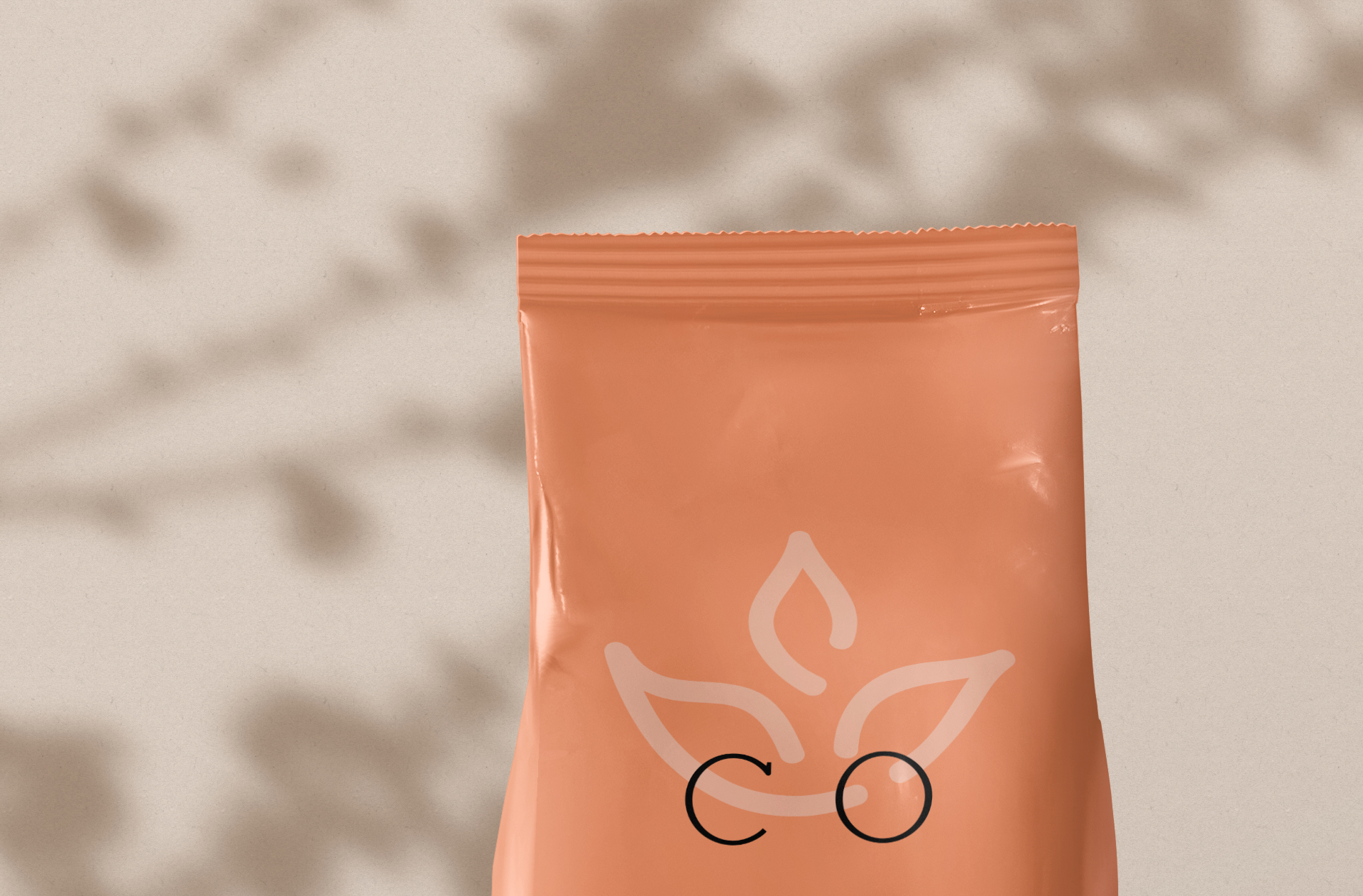 eco-friendly food packaging