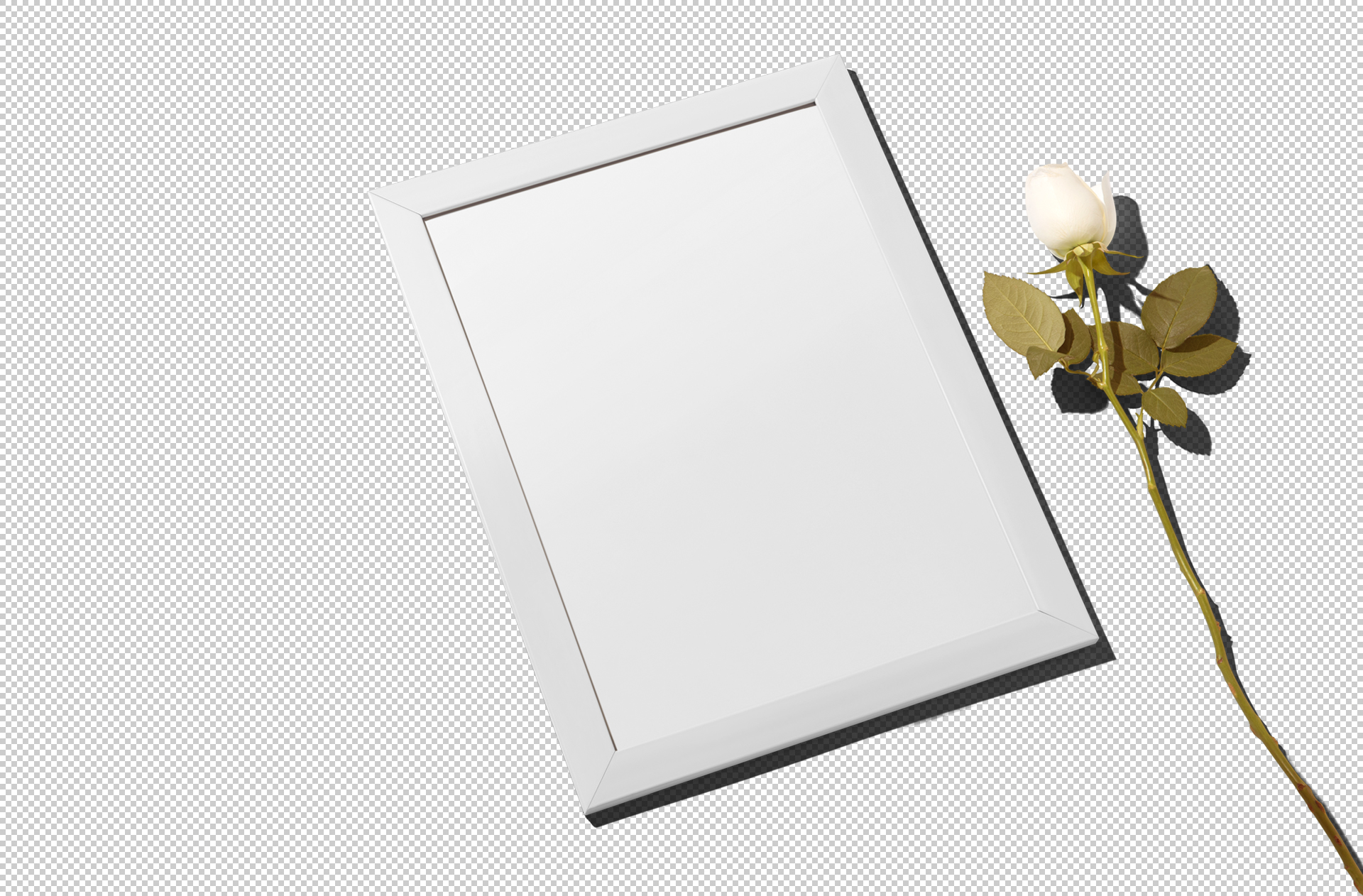 branding frame mockup