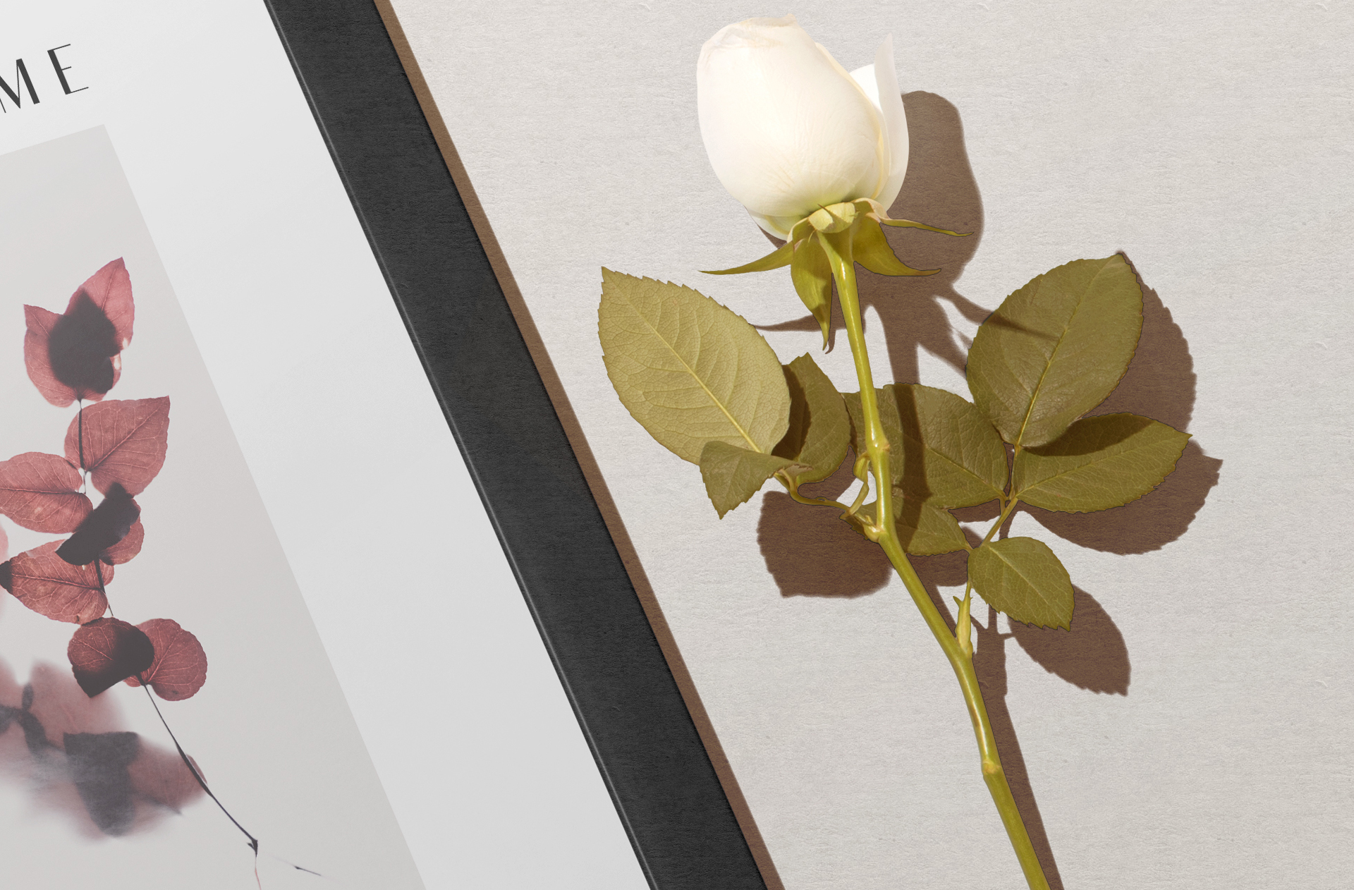 branding frame mockup