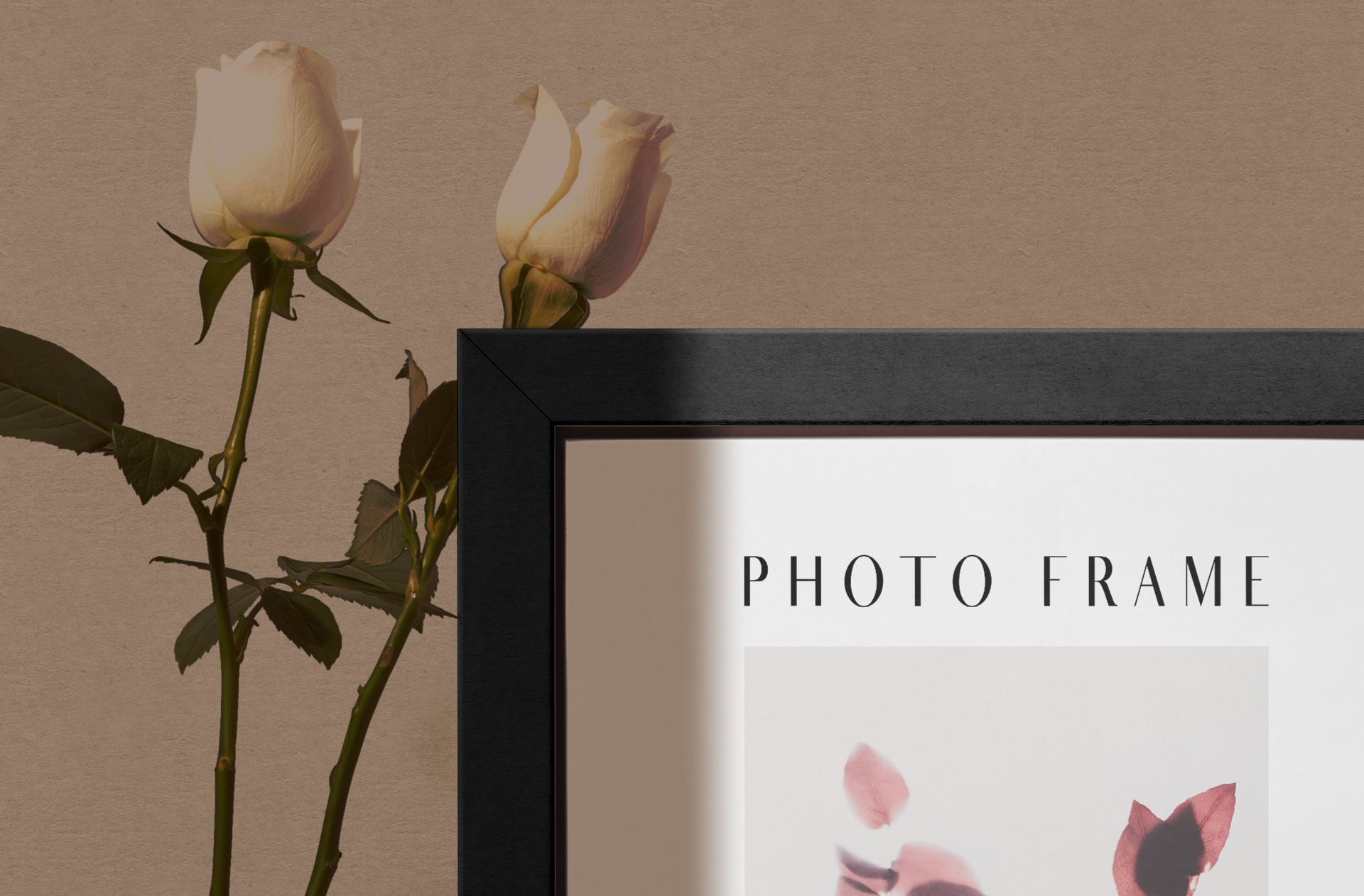 art frame presentation