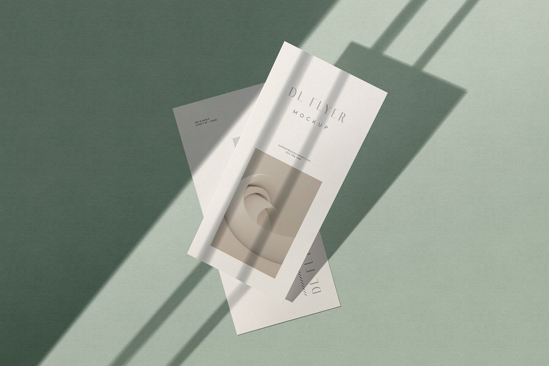 Minimalist DL Flyer Mockup with Elegant Design