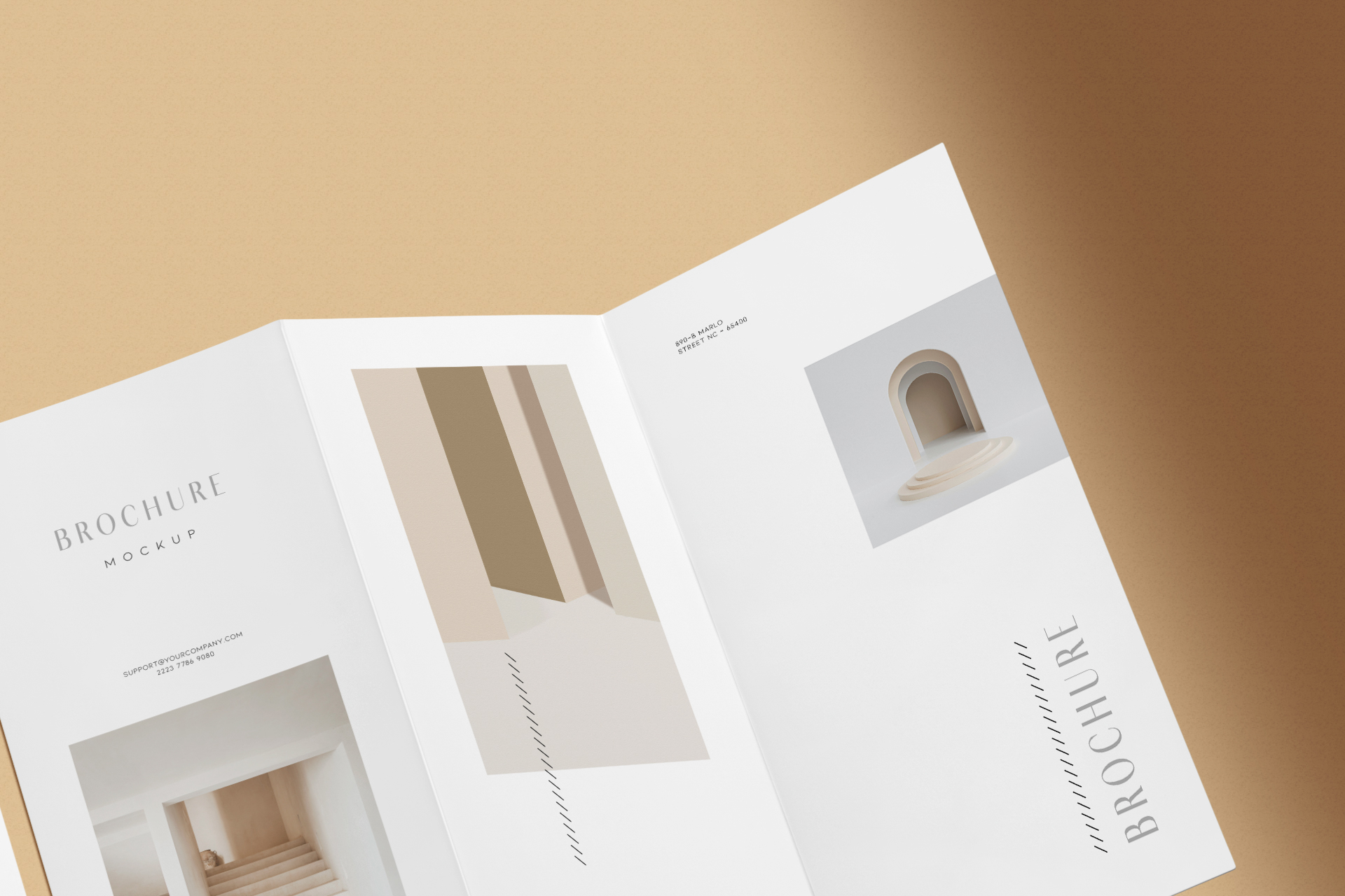 branding brochure PSD