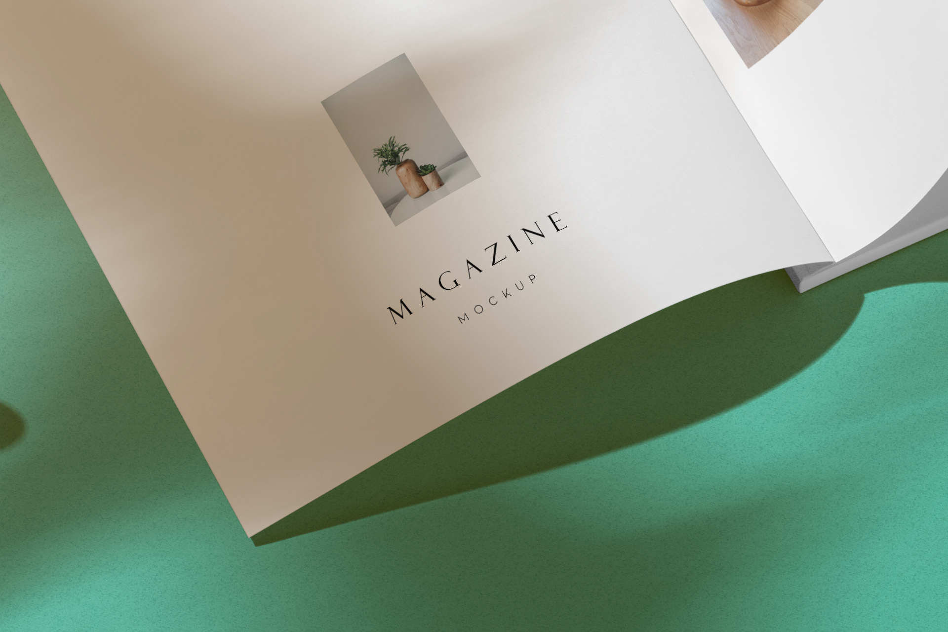 art book mock-up
