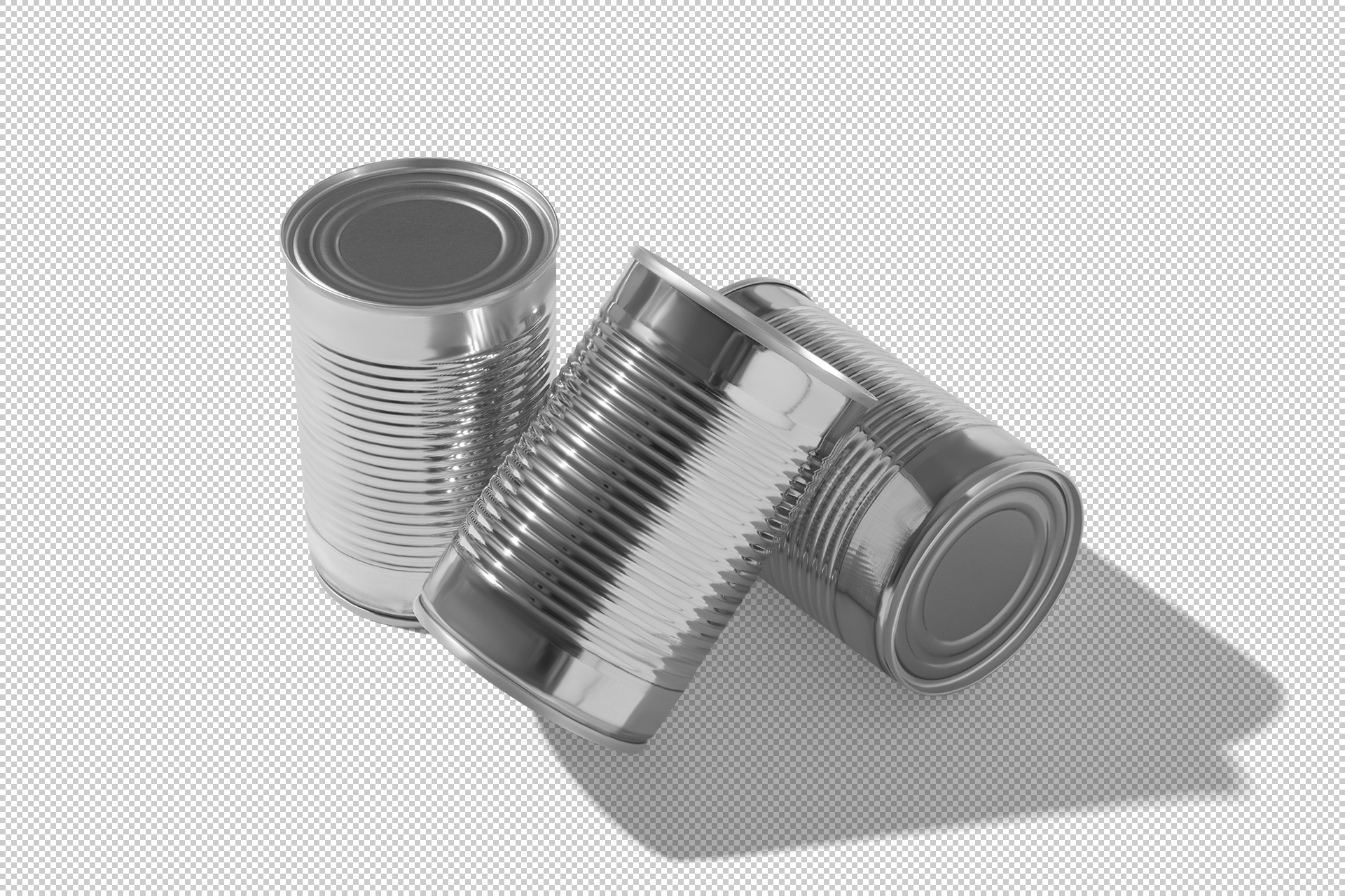 3D tin can template