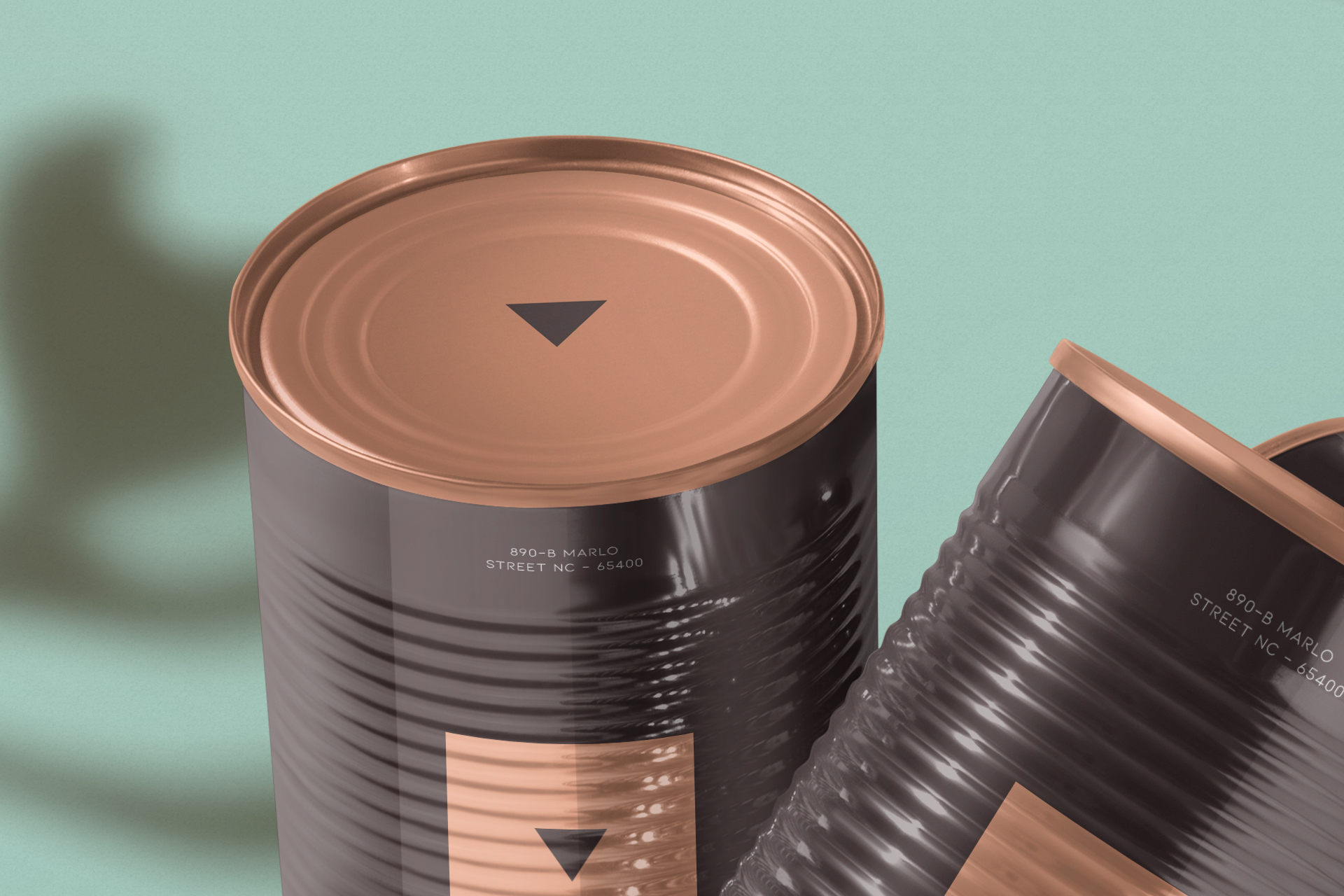 3D tin can template