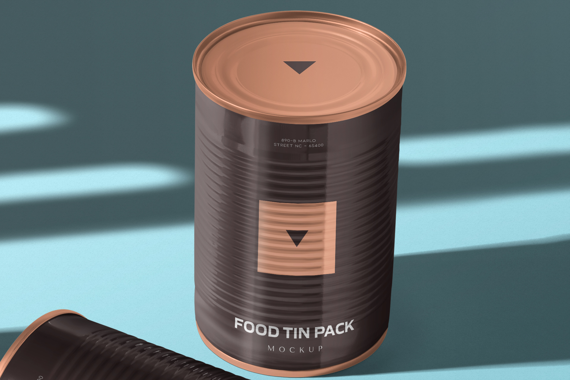 3D tin can template