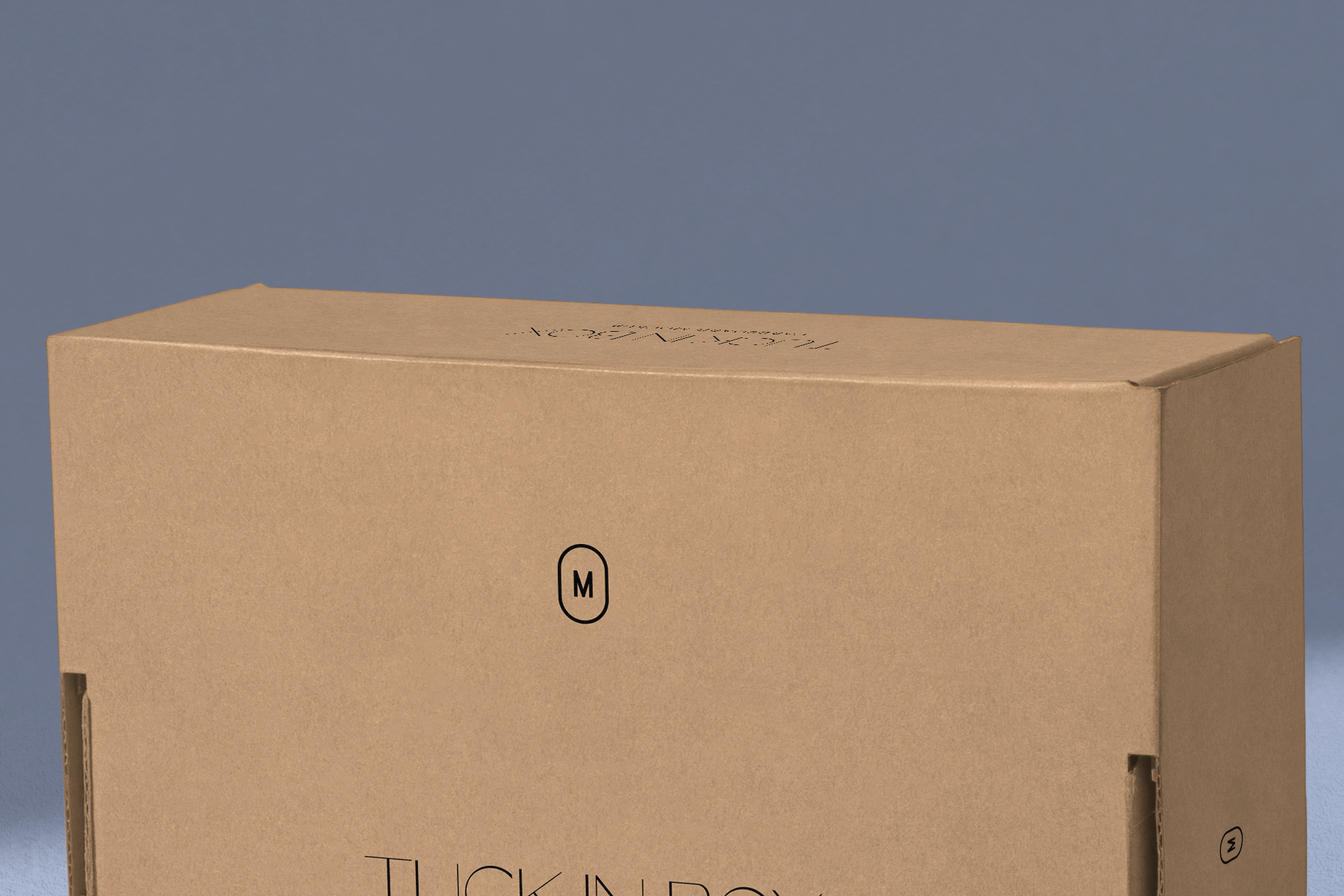 cardboard box mock-up