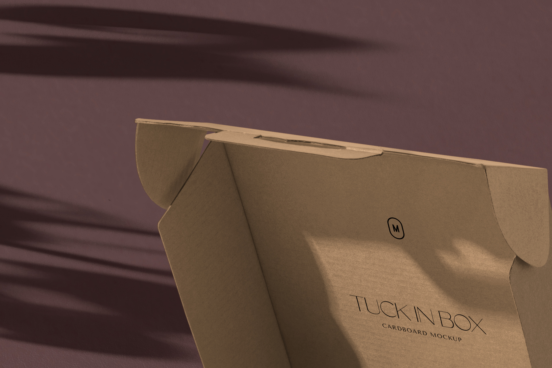 corrugated box mock-up