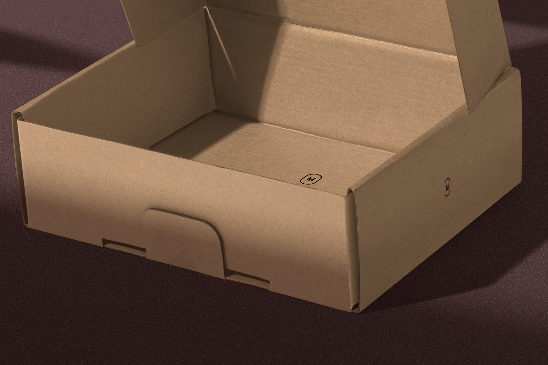 corrugated box mock-up