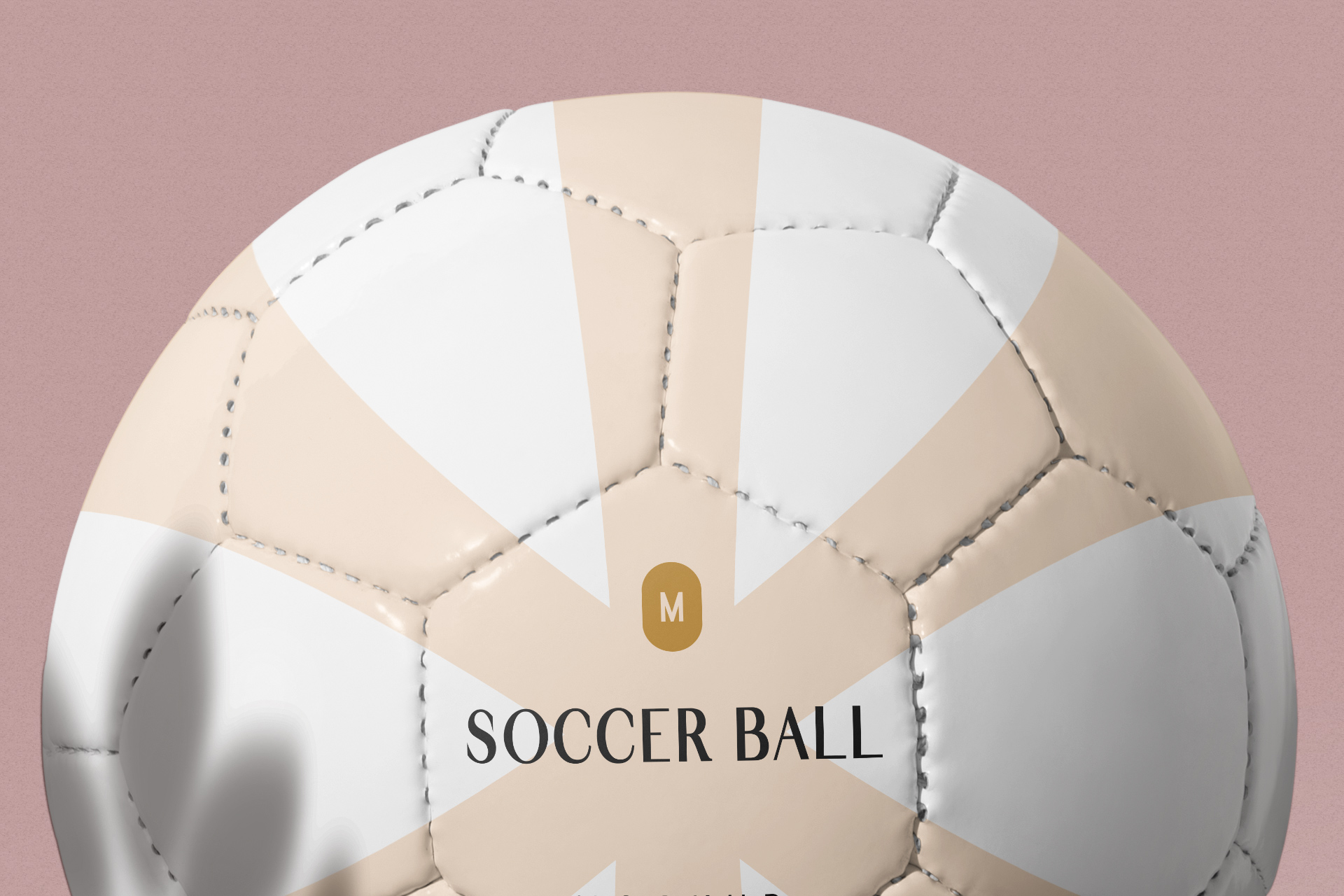 customizable soccer ball
