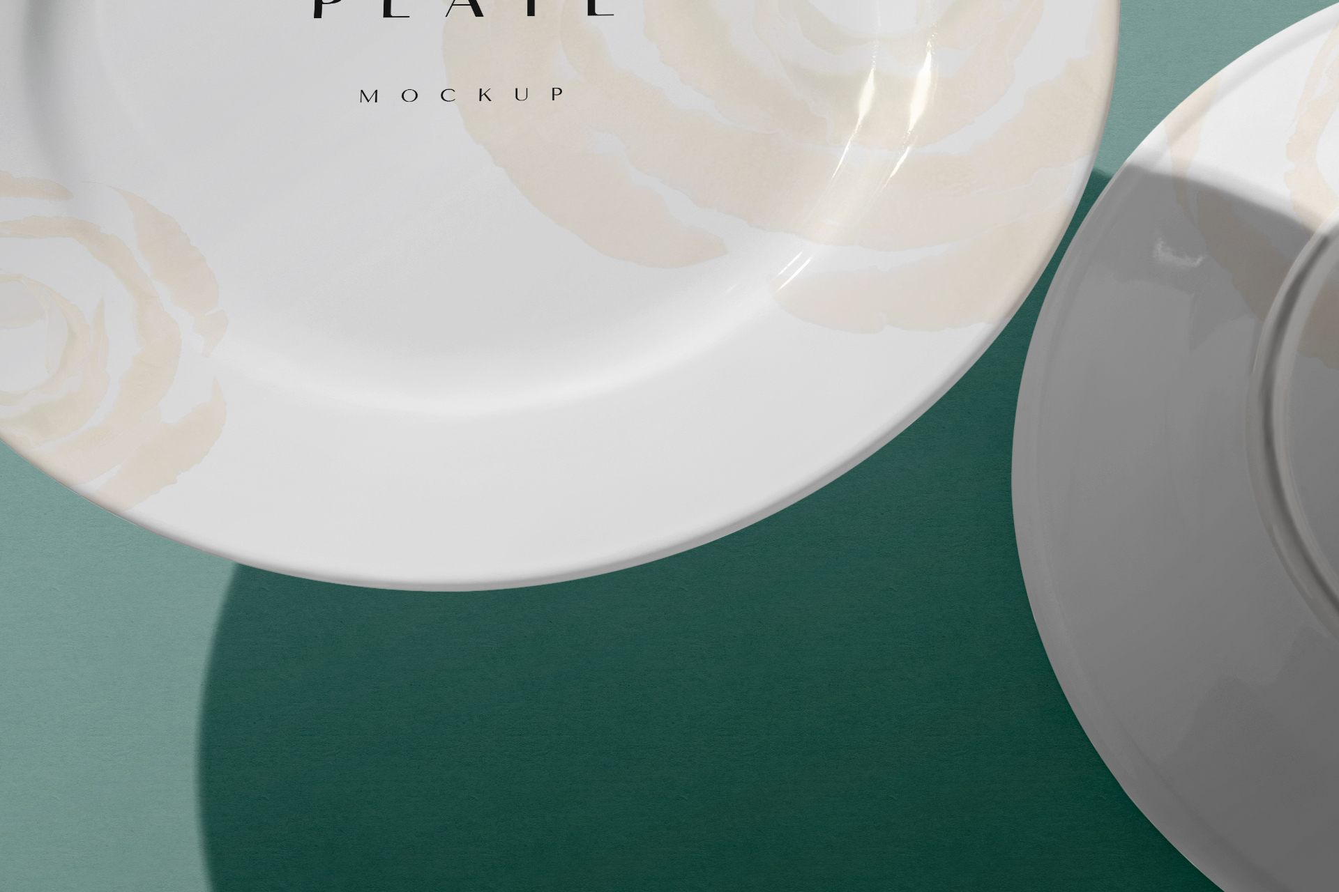 ceramic dish mock-up