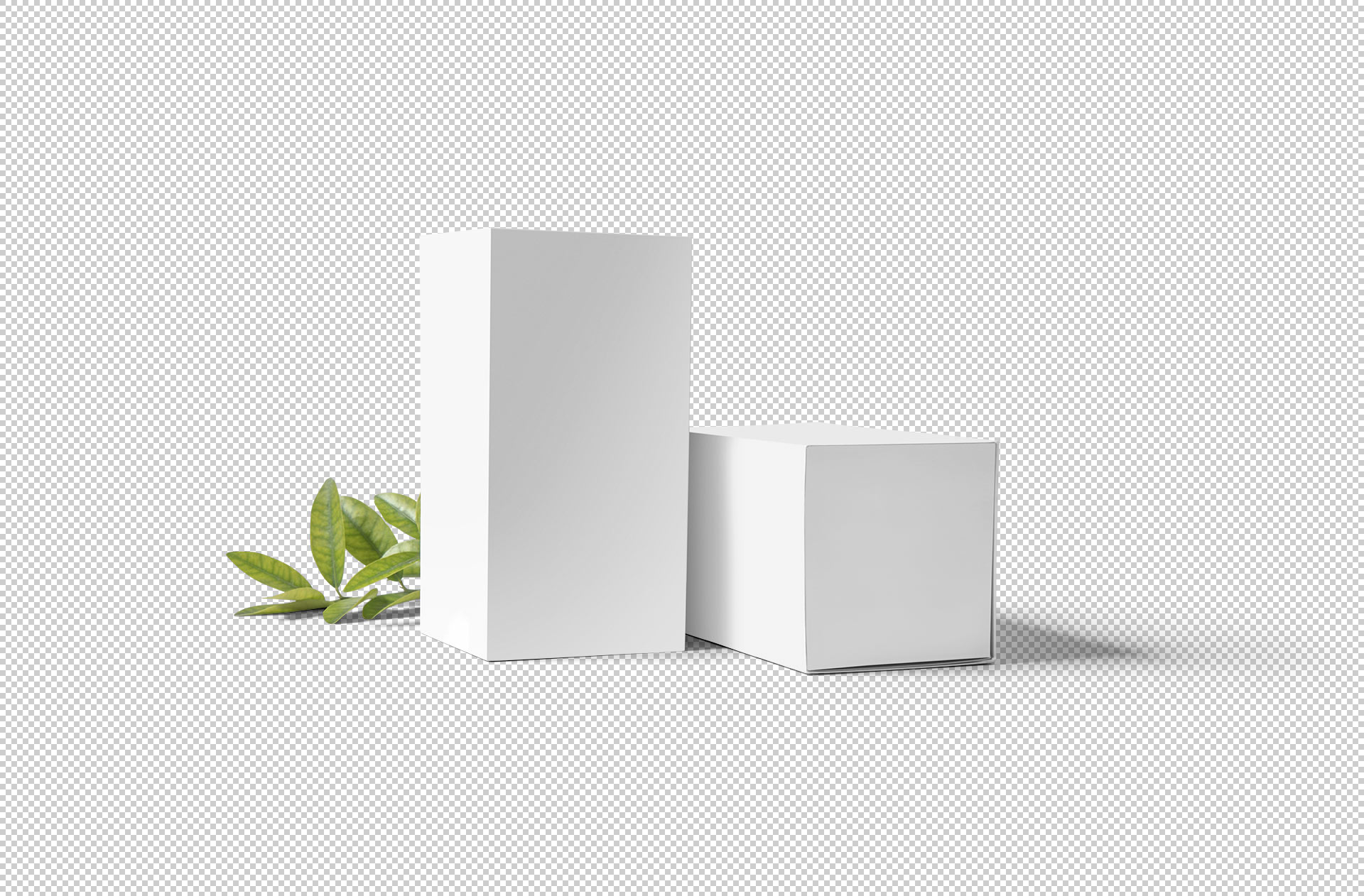 beverage box mockup