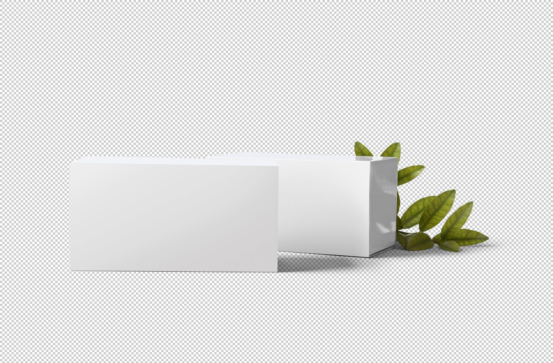 custom printed box mockup