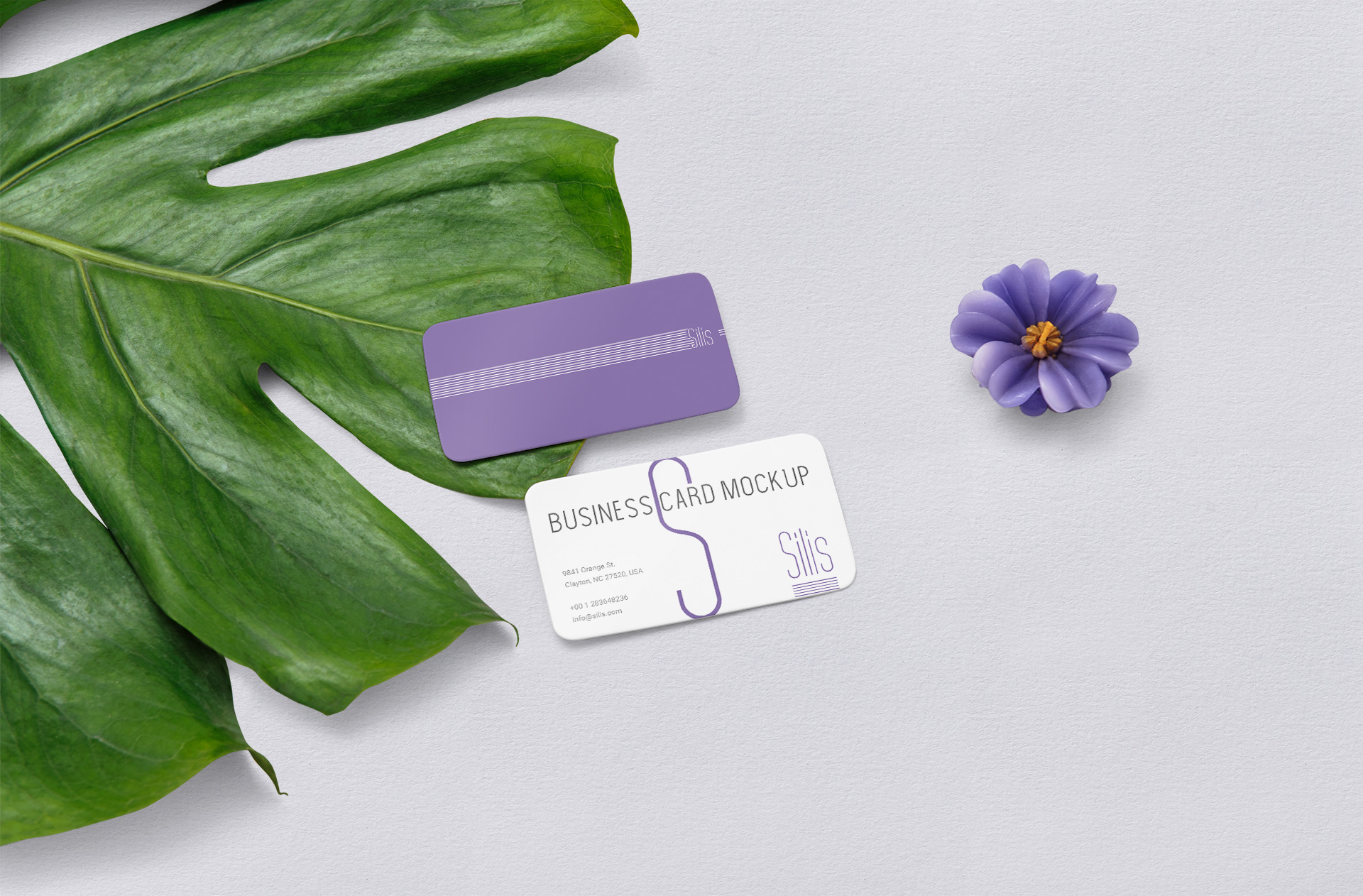 Minimalist Business Card Mockup with Floral Elements
