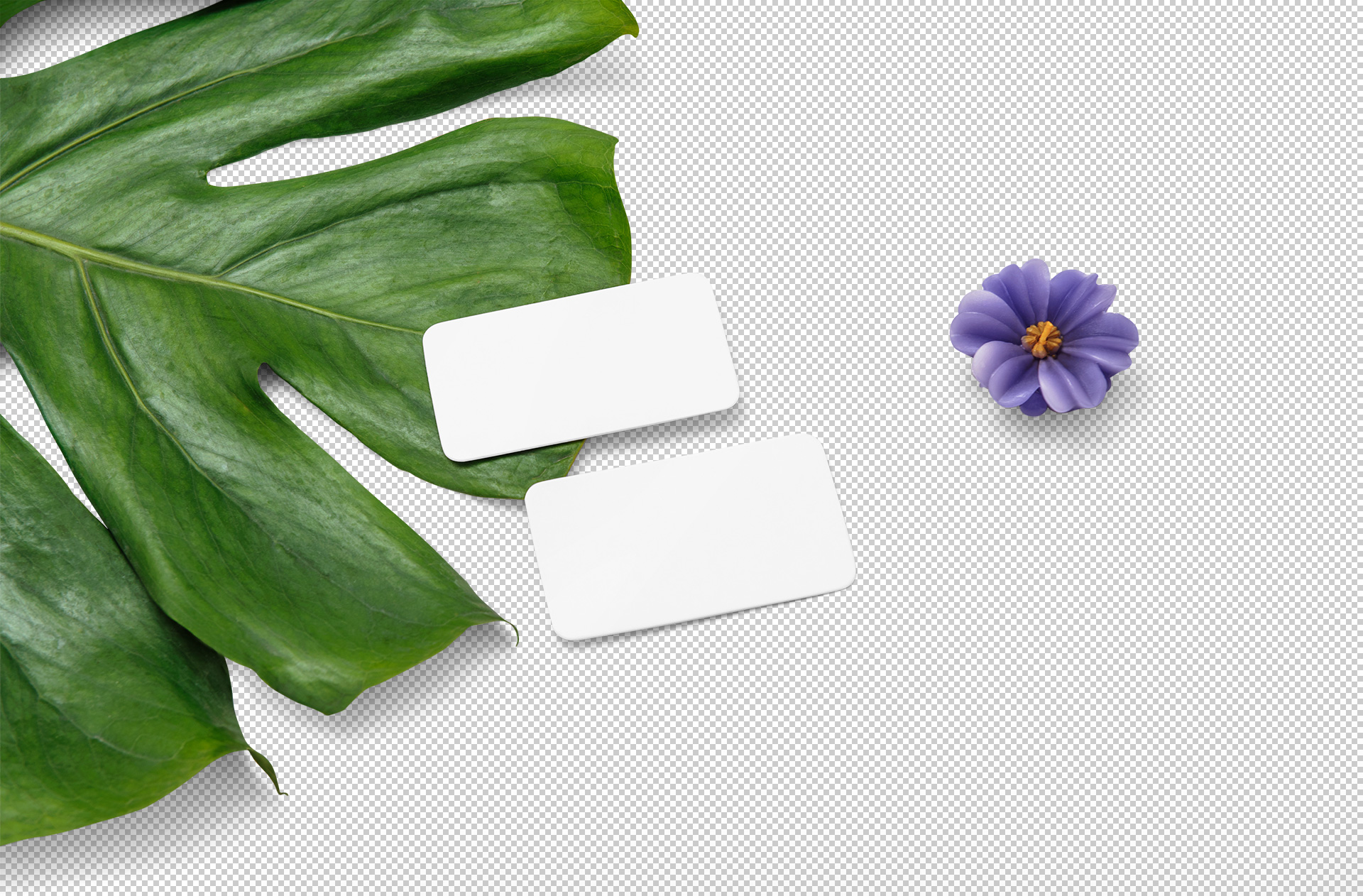 branding template
