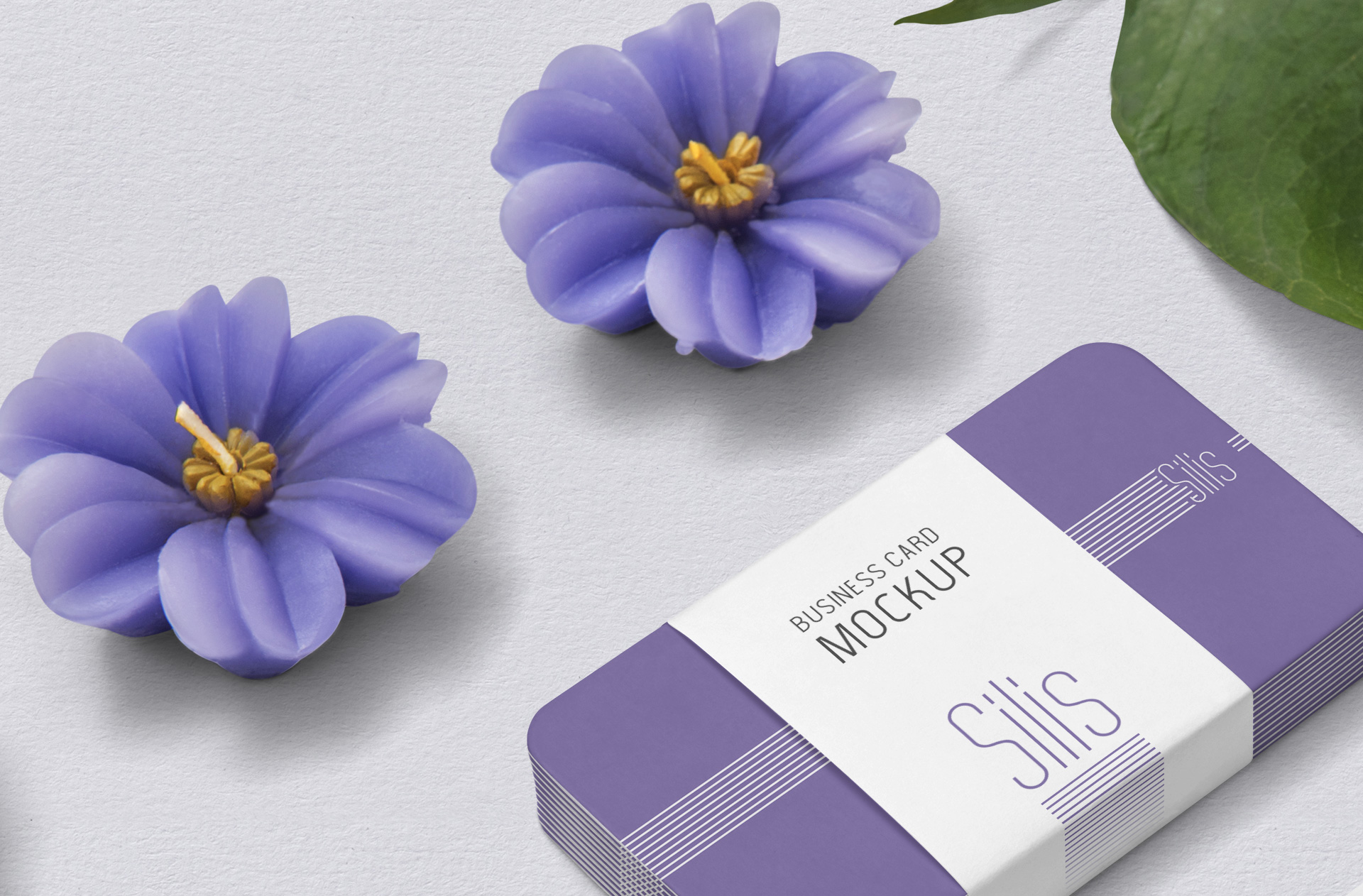 branding PSD