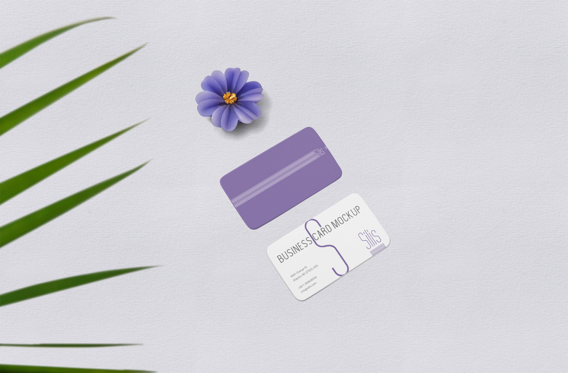Flat Lay Business Card Mockup with Clean Aesthetic