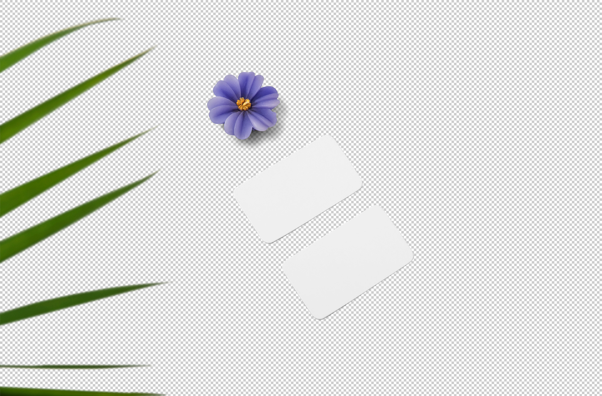branding showcase