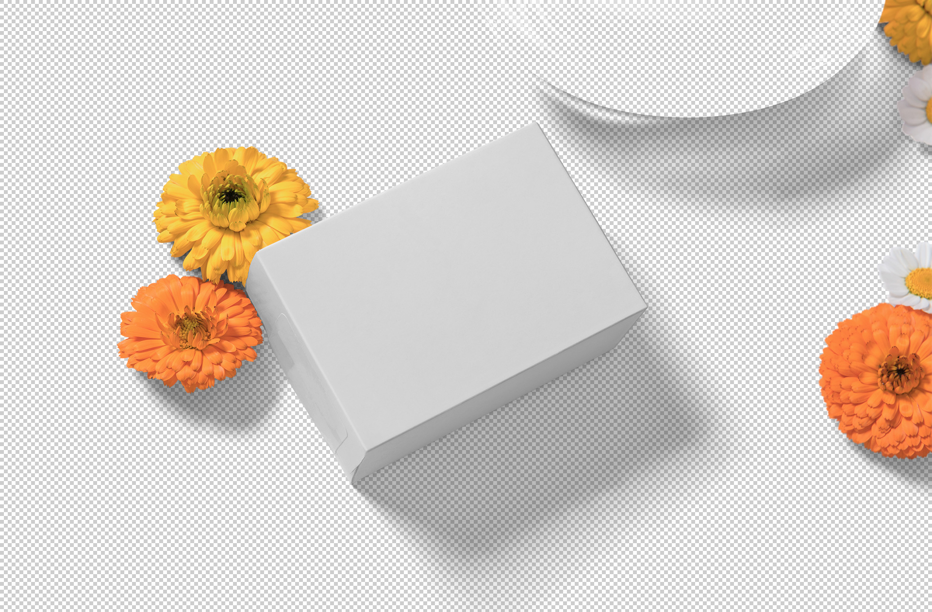 beauty product mockup