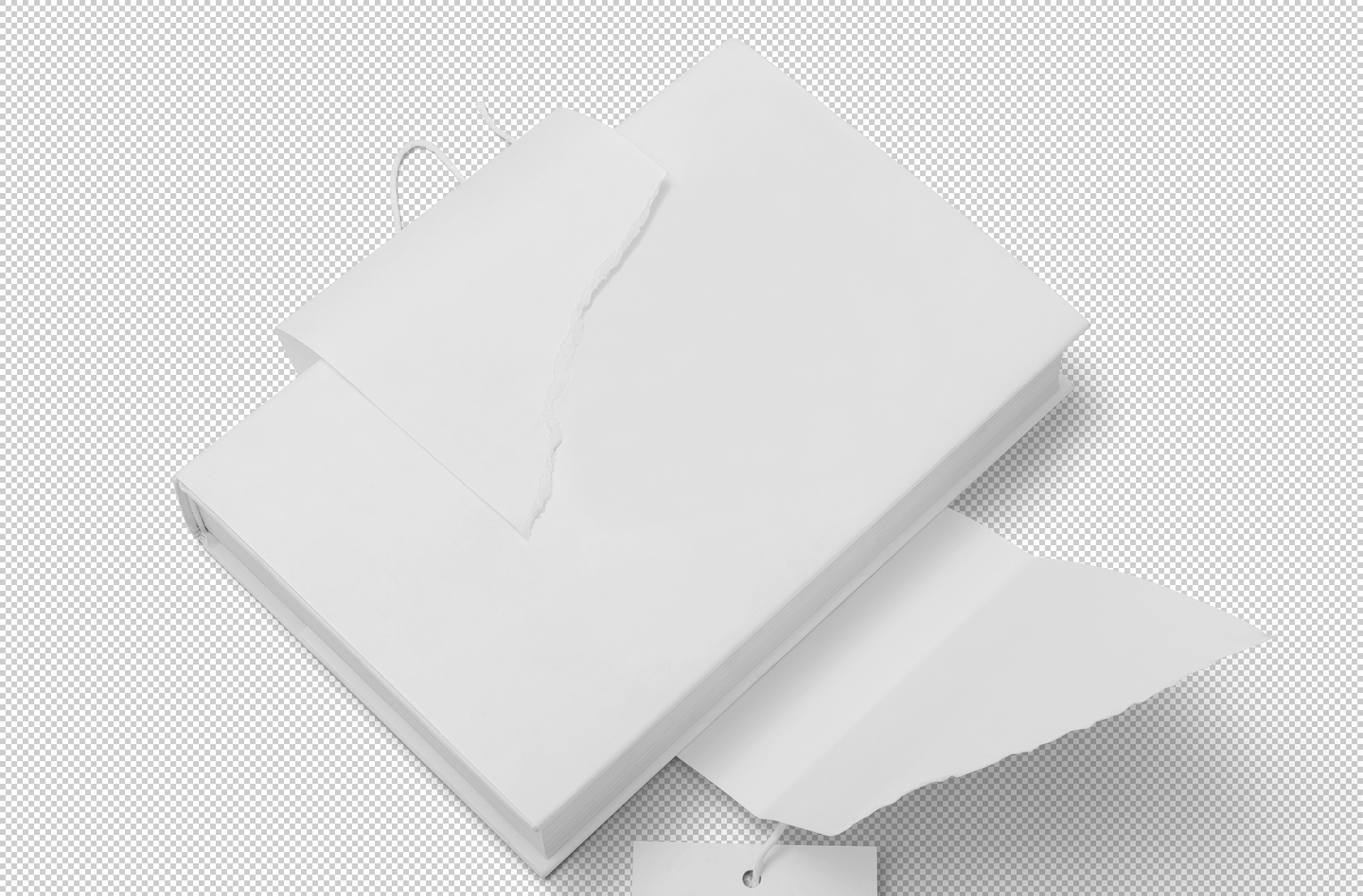 book cover mockup