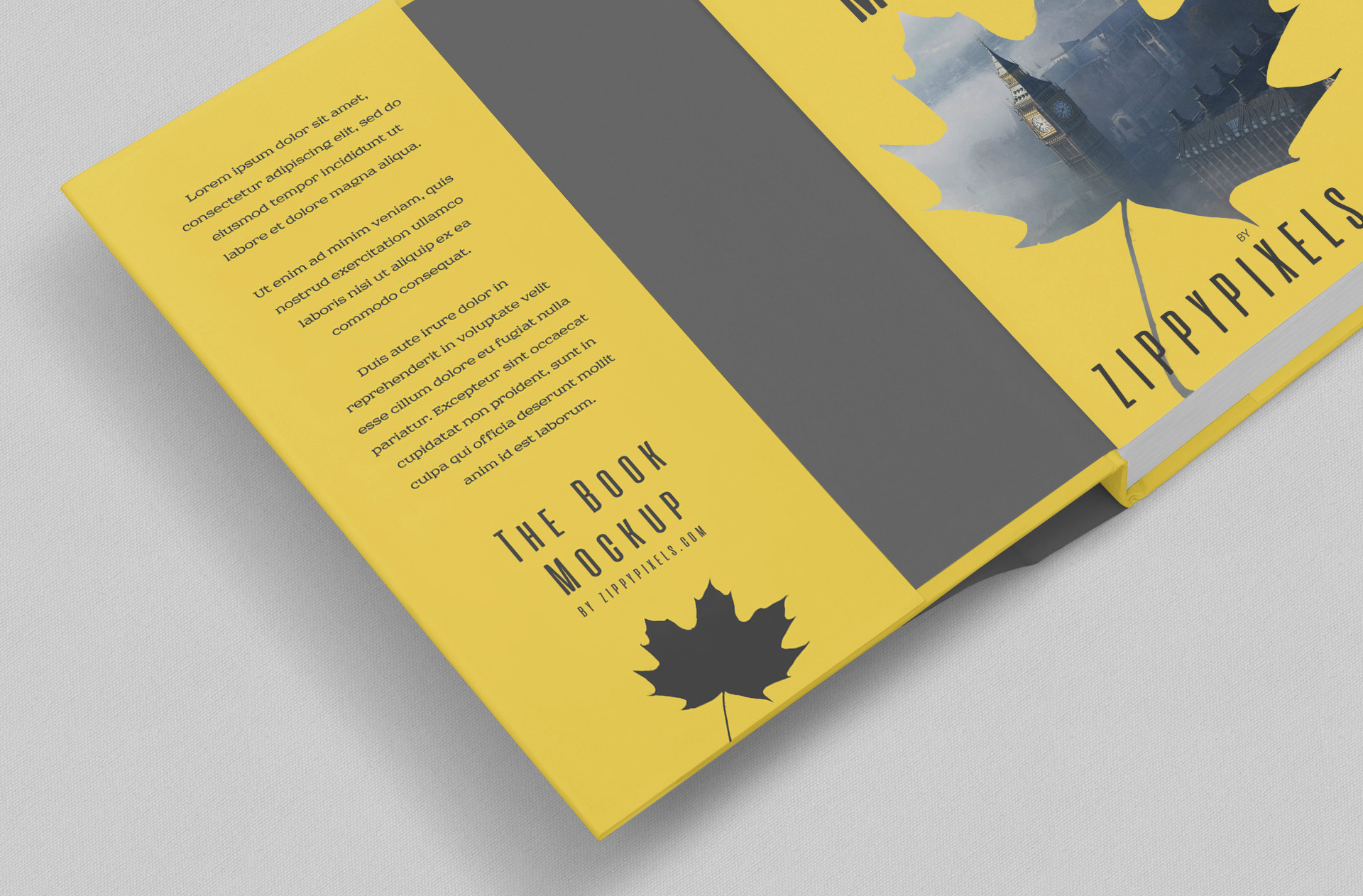 book branding mockup