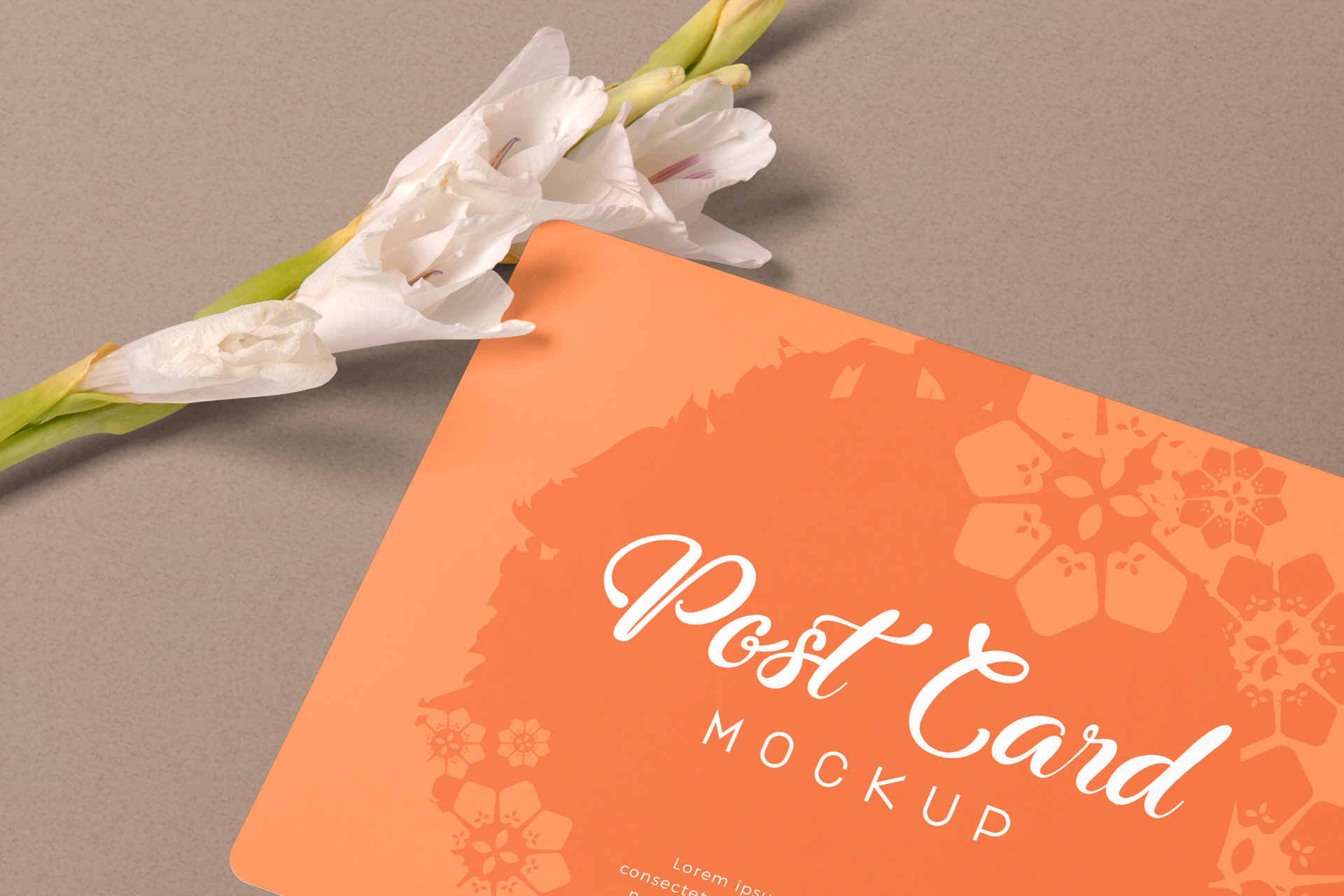 branding and identity PSD