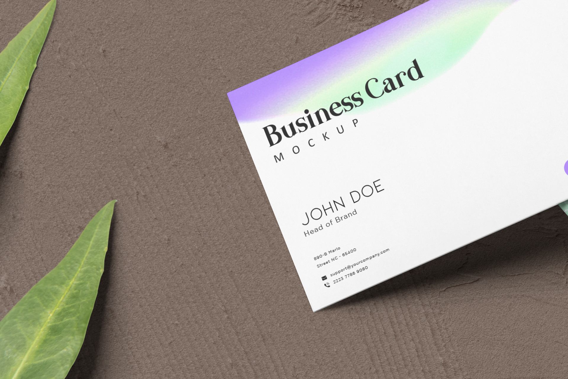 business card mock-up