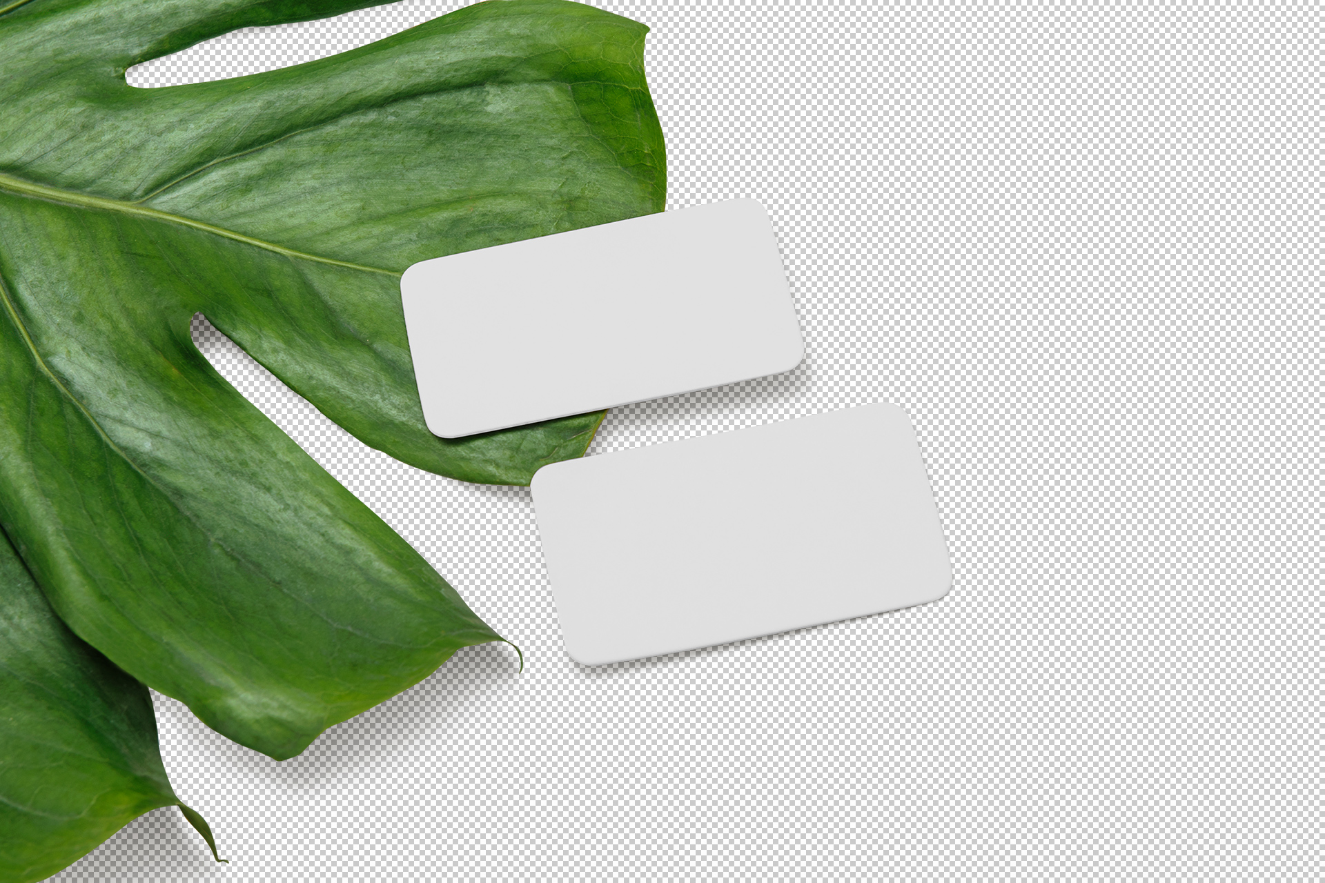 branding card mockup