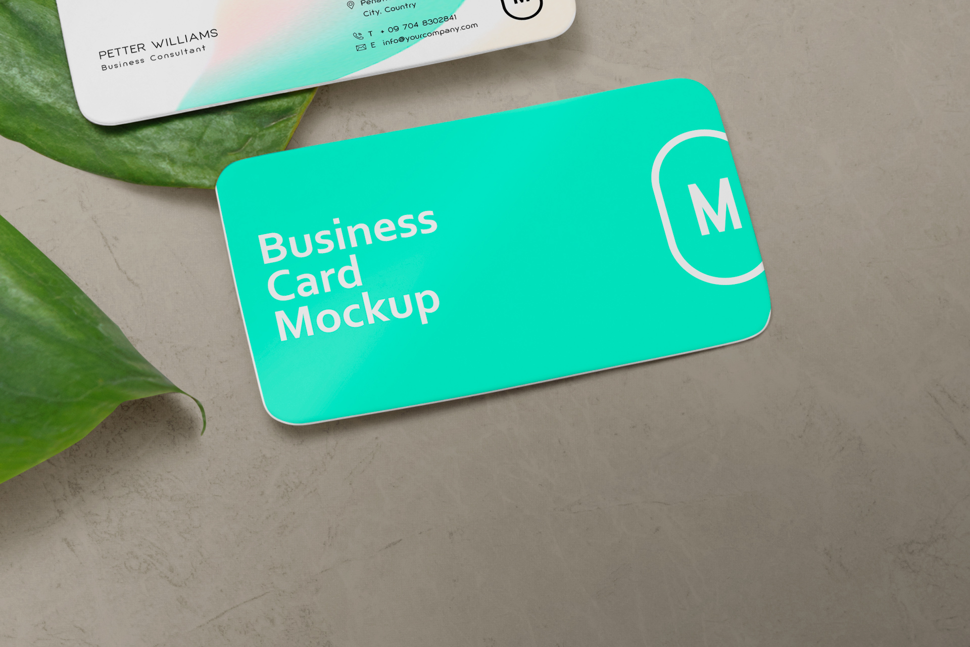 branding card mockup