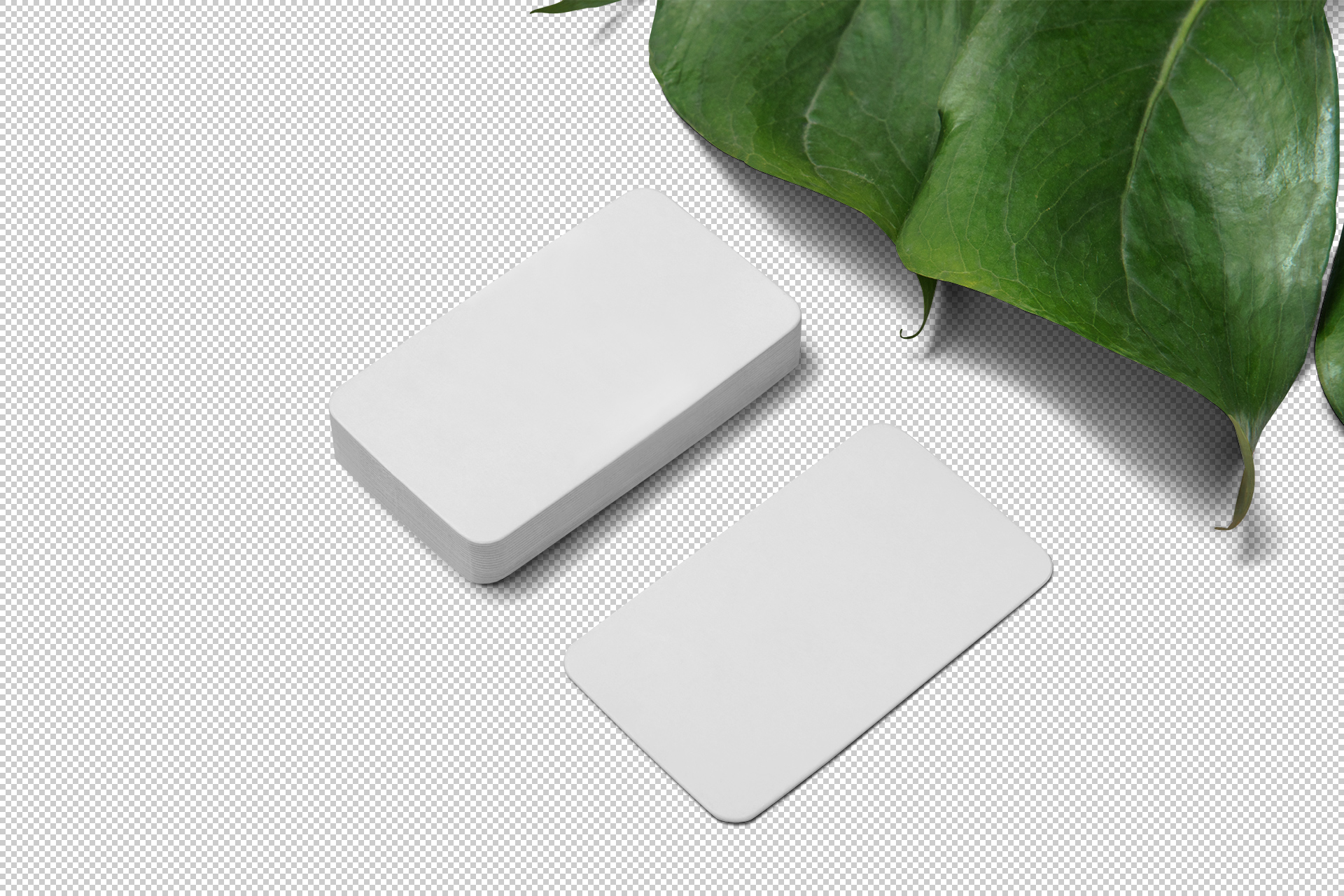 branding identity mockup