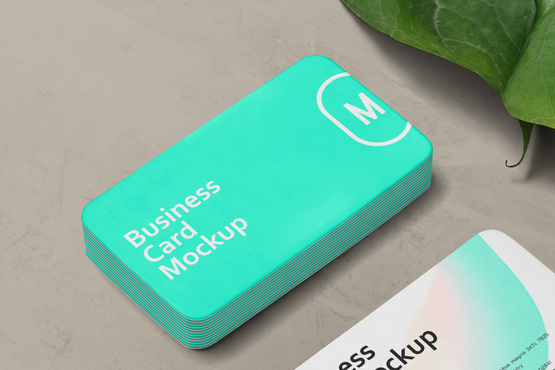 branding identity mockup