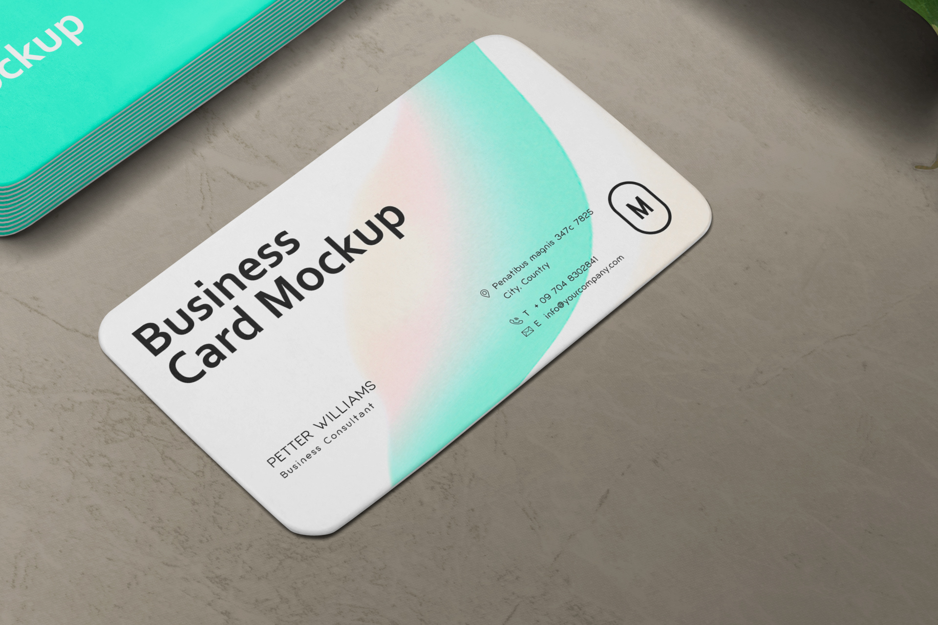branding identity mockup