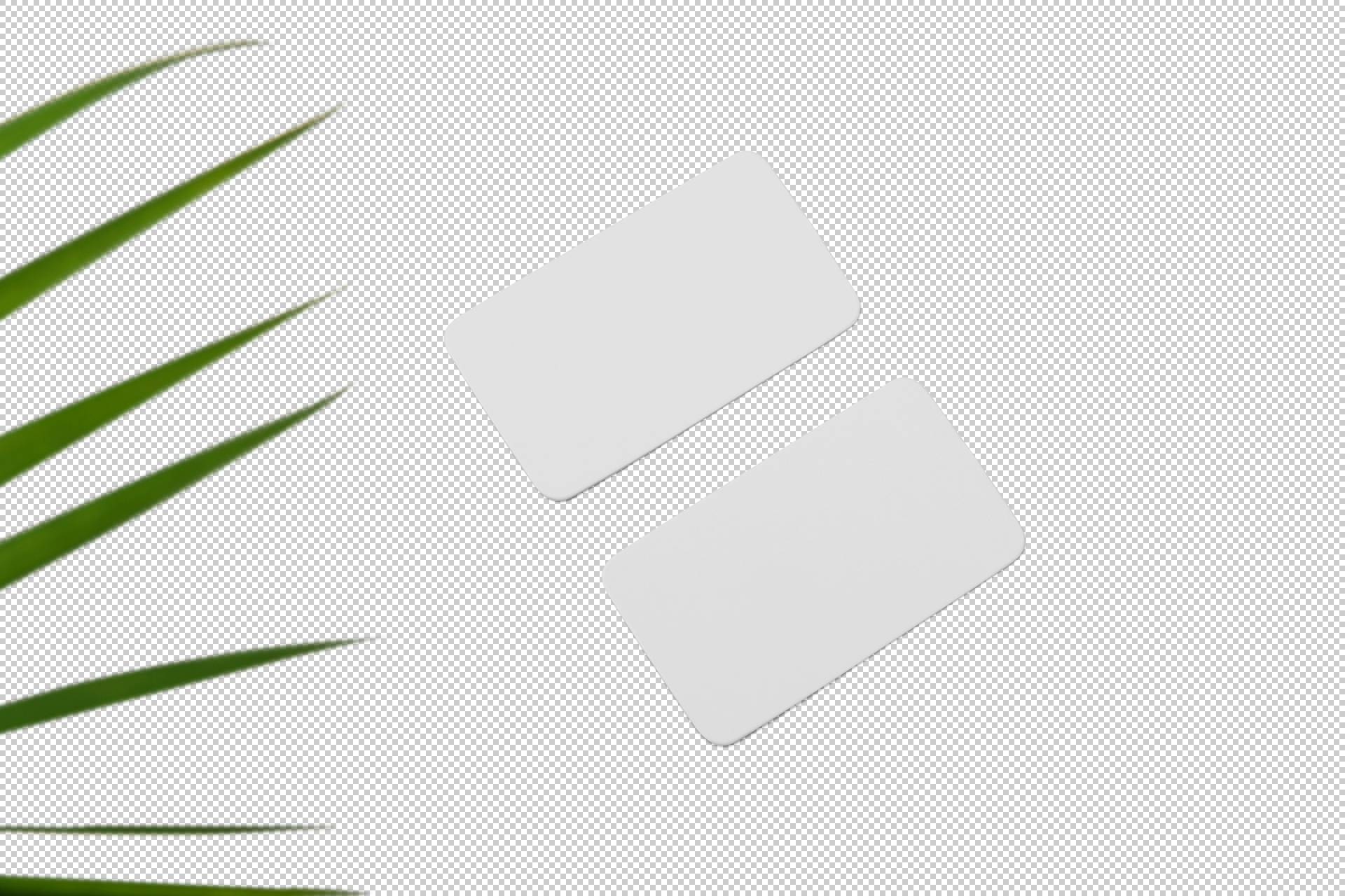 branding identity PSD