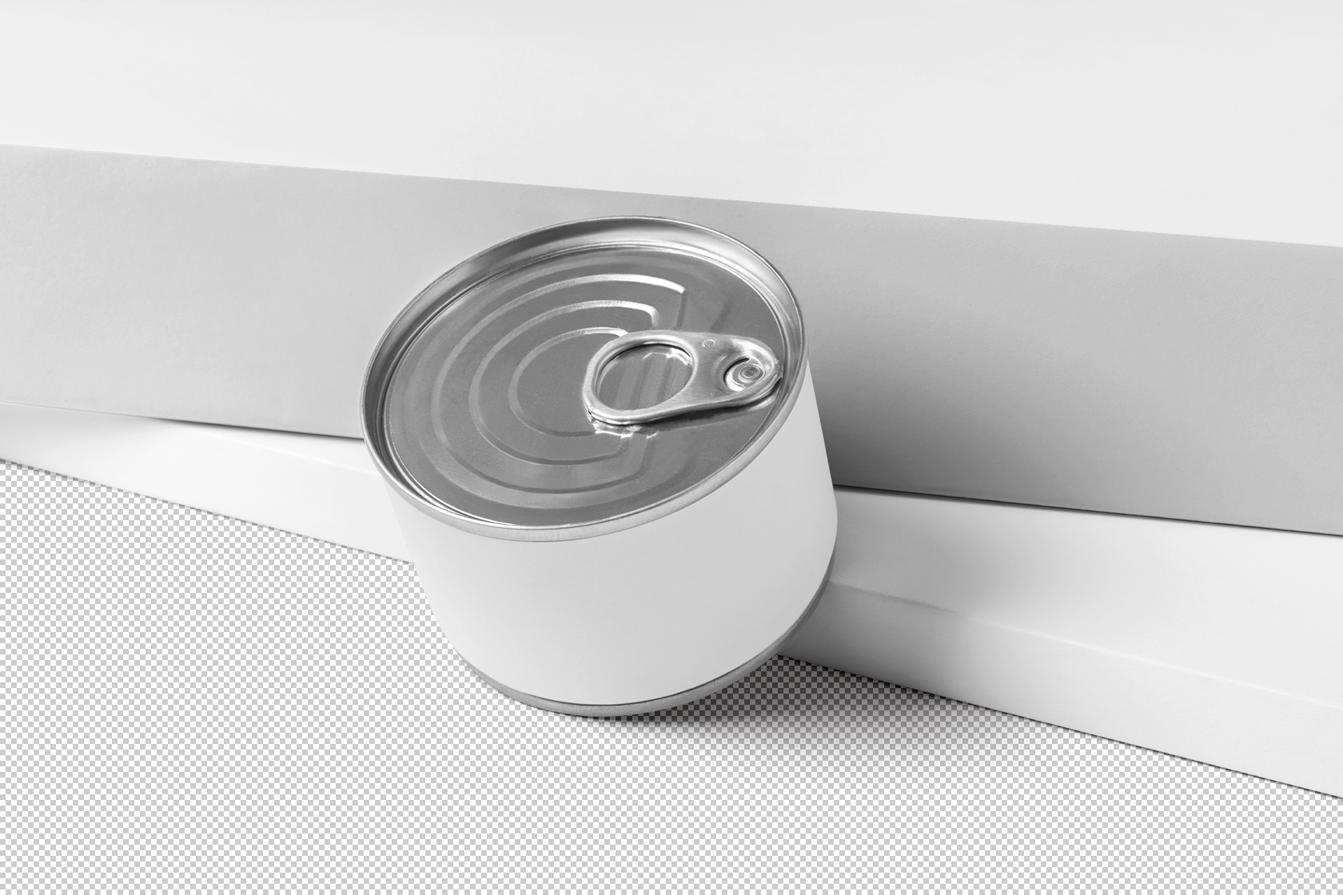aluminum can mock-up