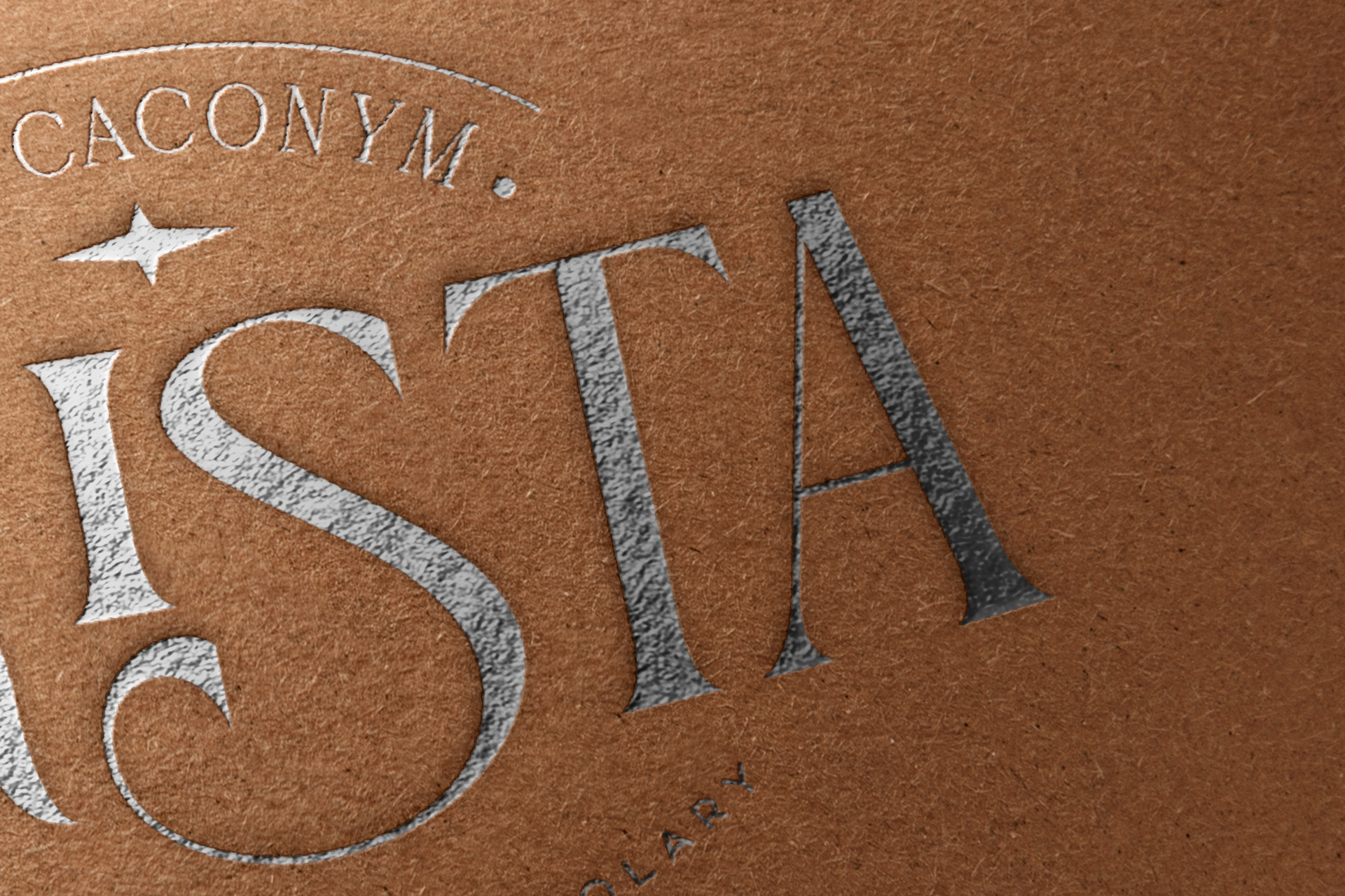 boutique logo presentation
