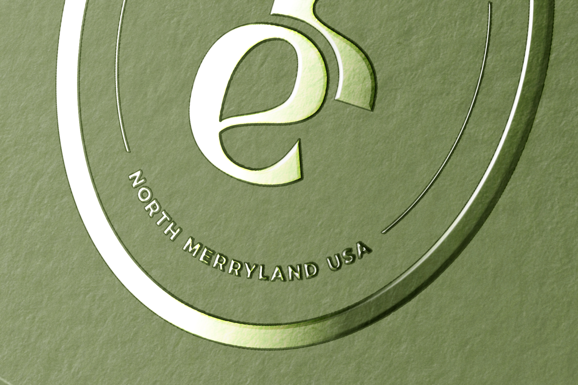 branding showcase mockup