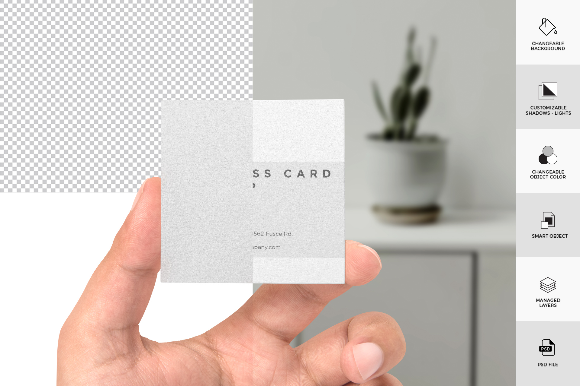 branding mockup
