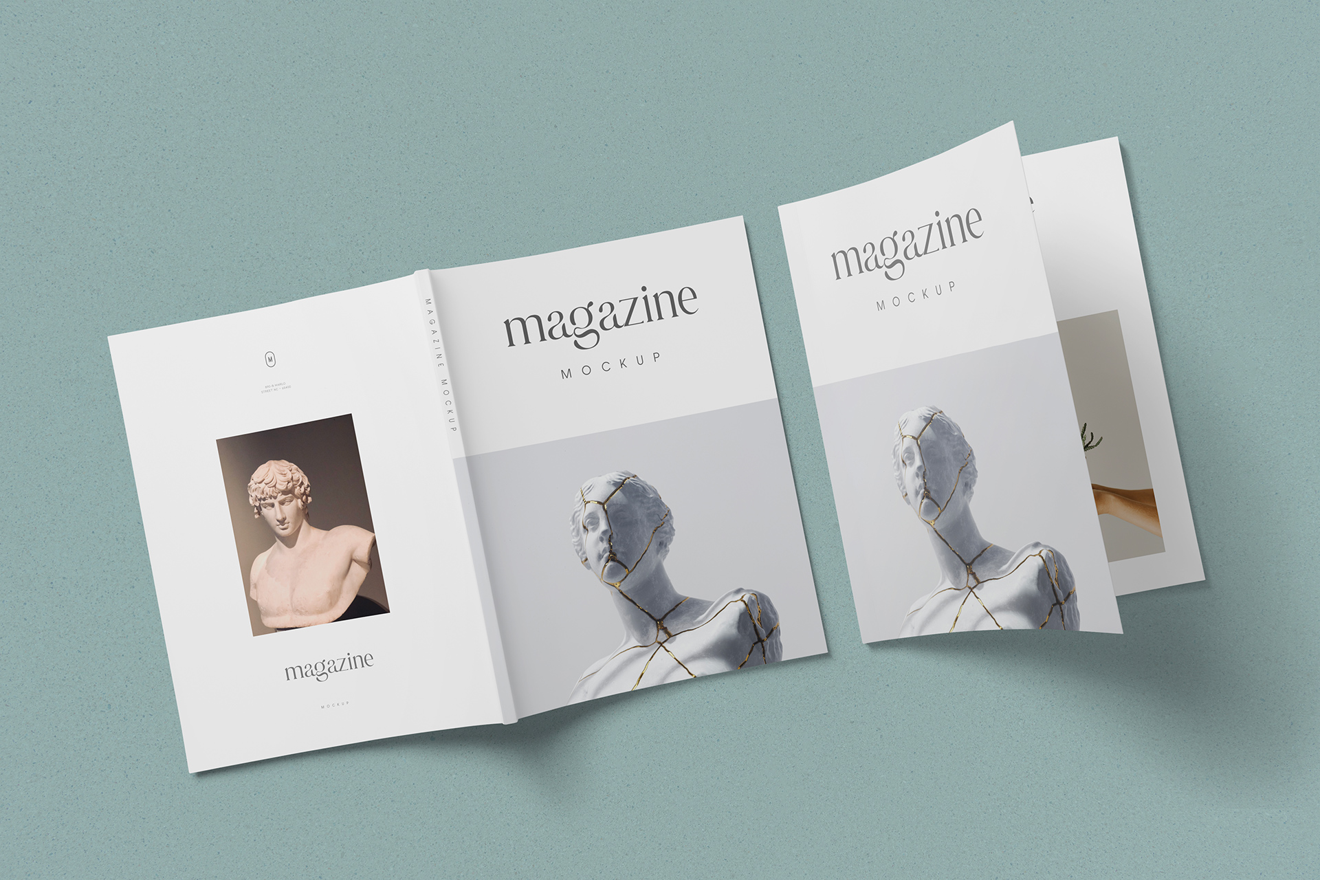 Back & Front Cover Magazine Mockup Display
