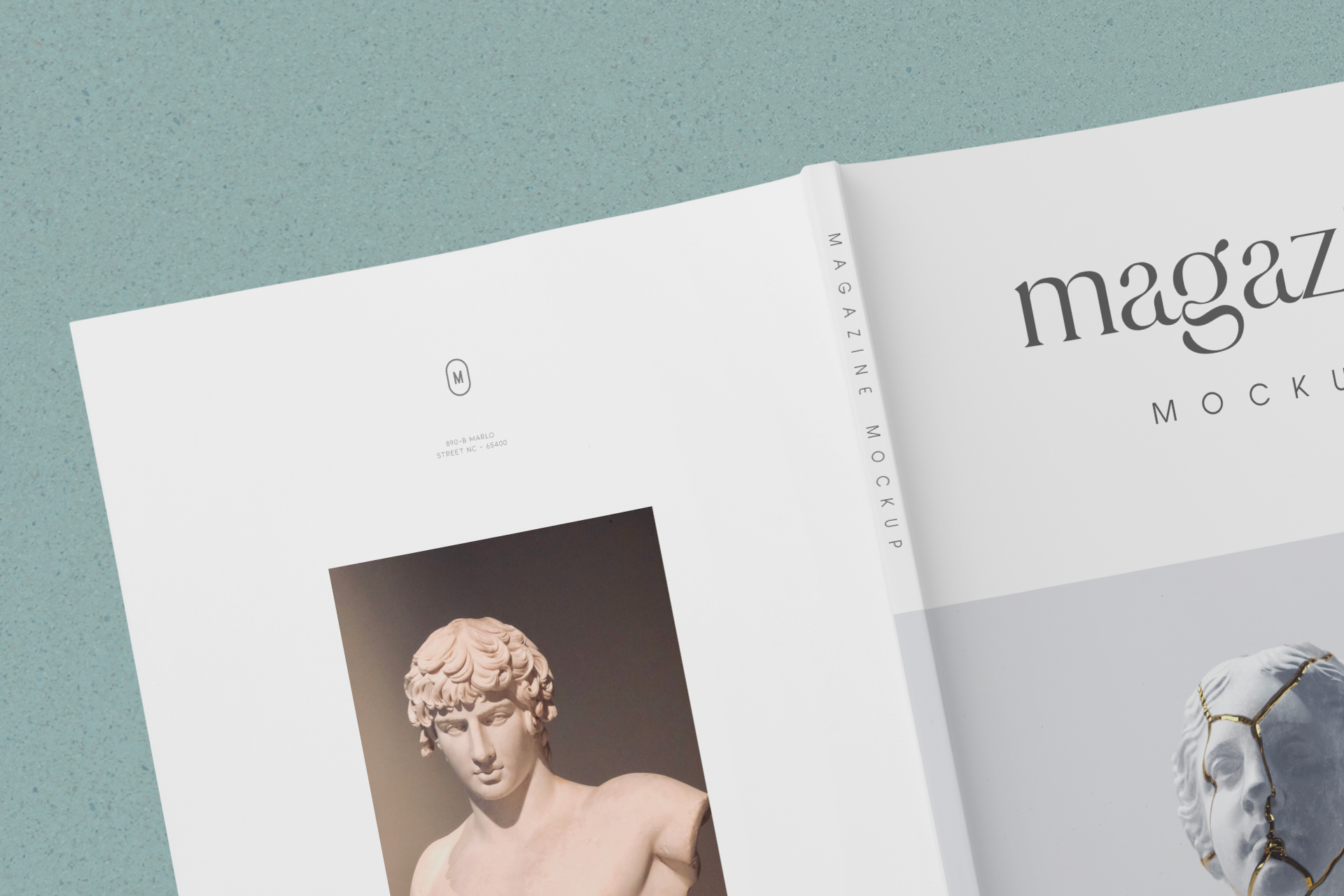 back cover magazine mockup